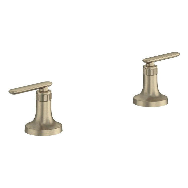 Handle Kit Listra Metal 2 Lever Brushed Nickel Infinity ADA for Listra Deck Mount Tub Filler