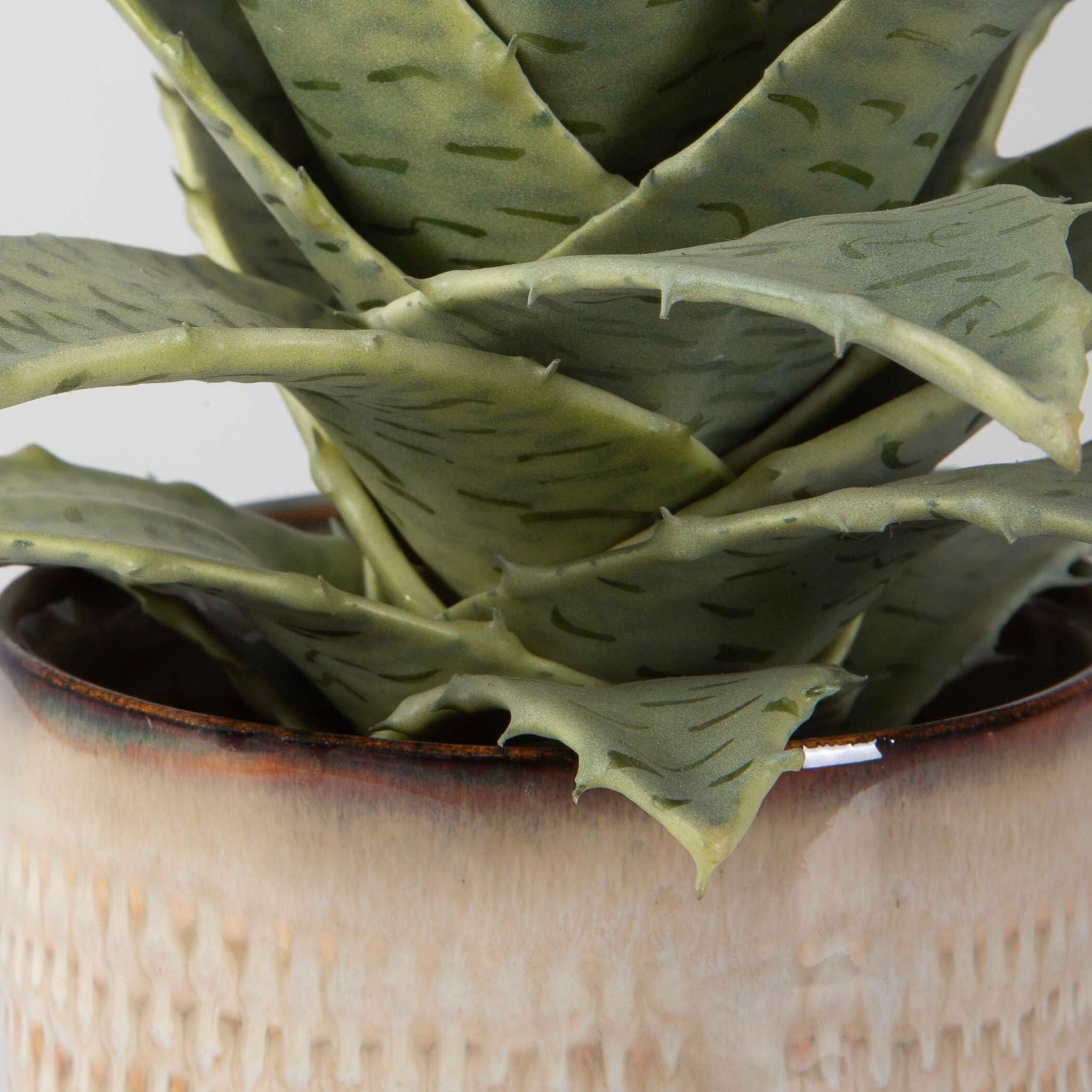 Seaside Succulents (Set of 2) - Pearl Silver - Image 2