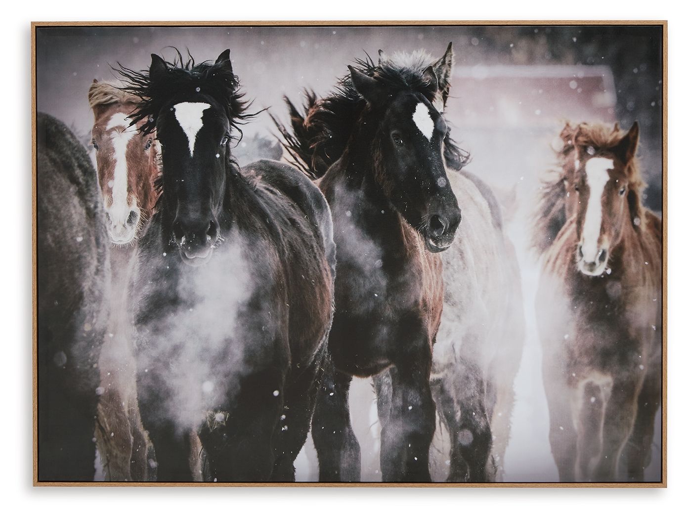 Chaseburn – Wall Art – Brown / Black / White