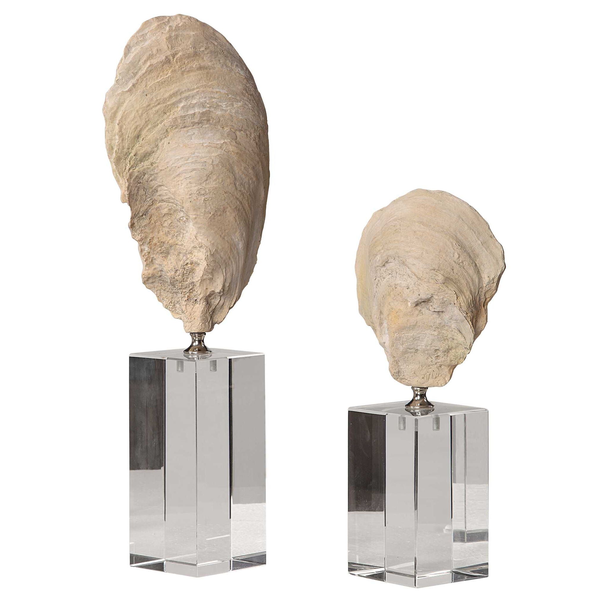 Oyster - Shell Sculptures (Set of 2) - Beige - Image 2