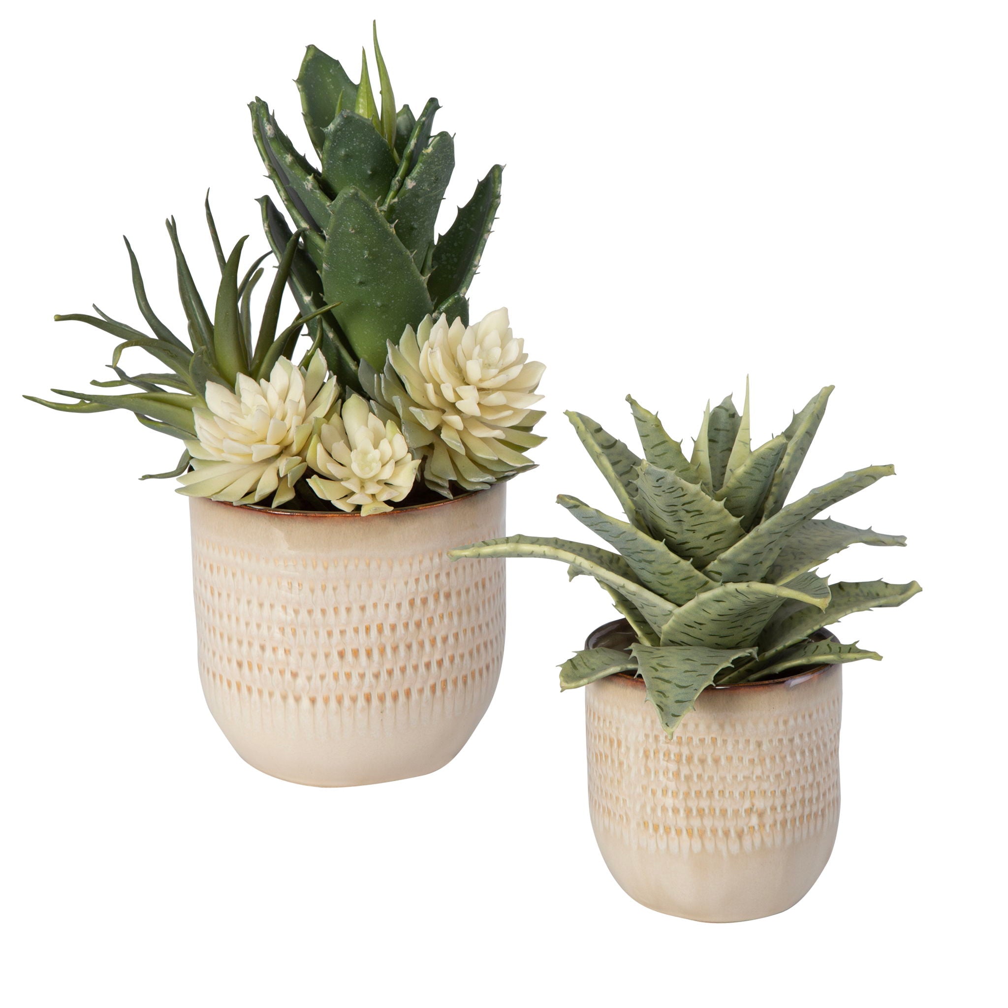 Seaside Succulents (Set of 2) – Pearl Silver