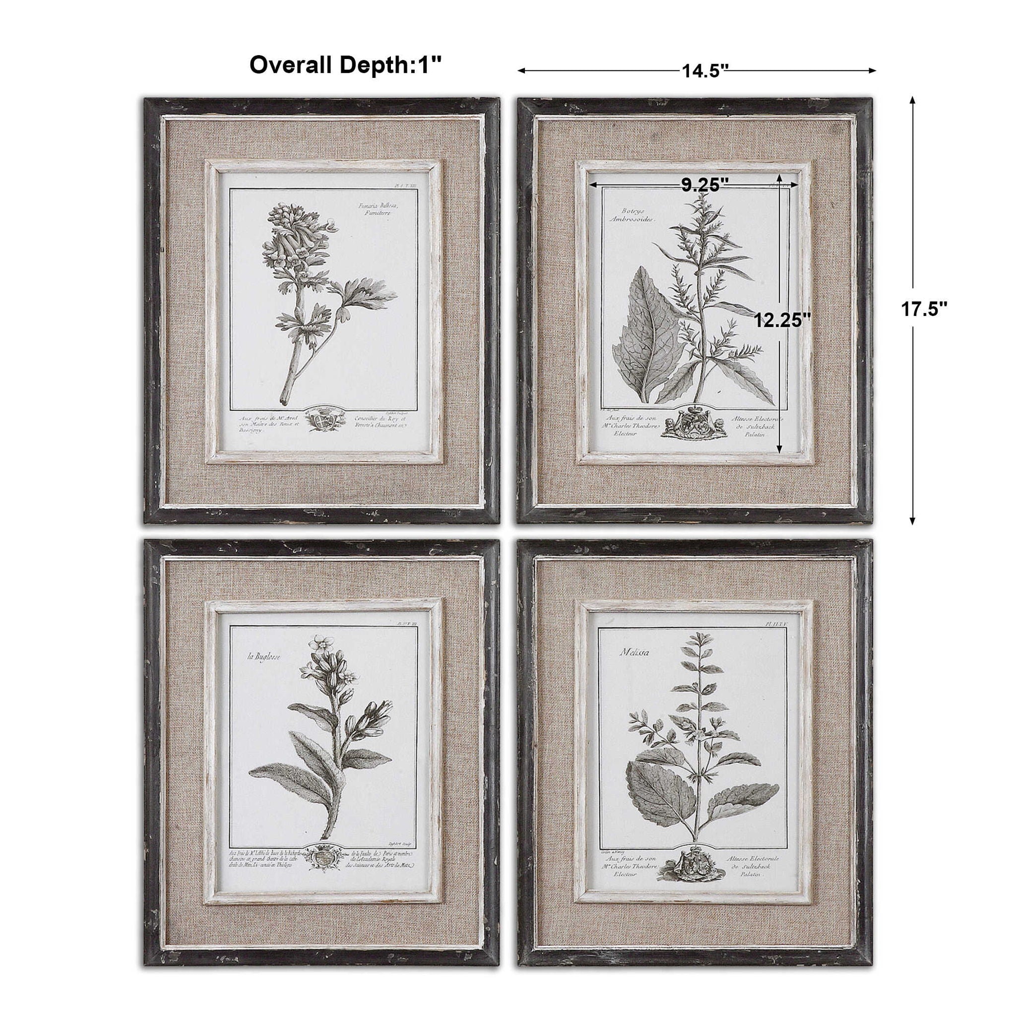 Casual Gray Study - Framed Art (Set of 4) - Beige - Image 2