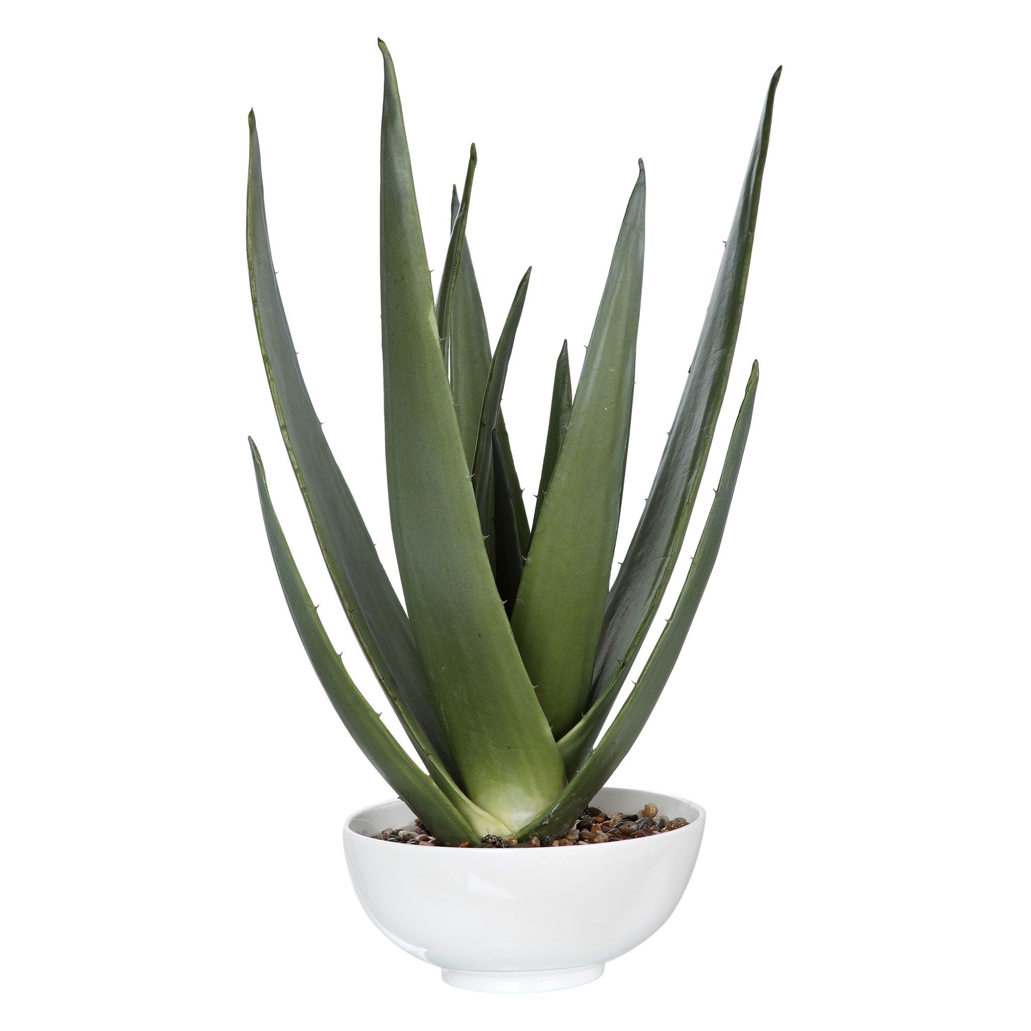 Evarado – Aloe Planter – White