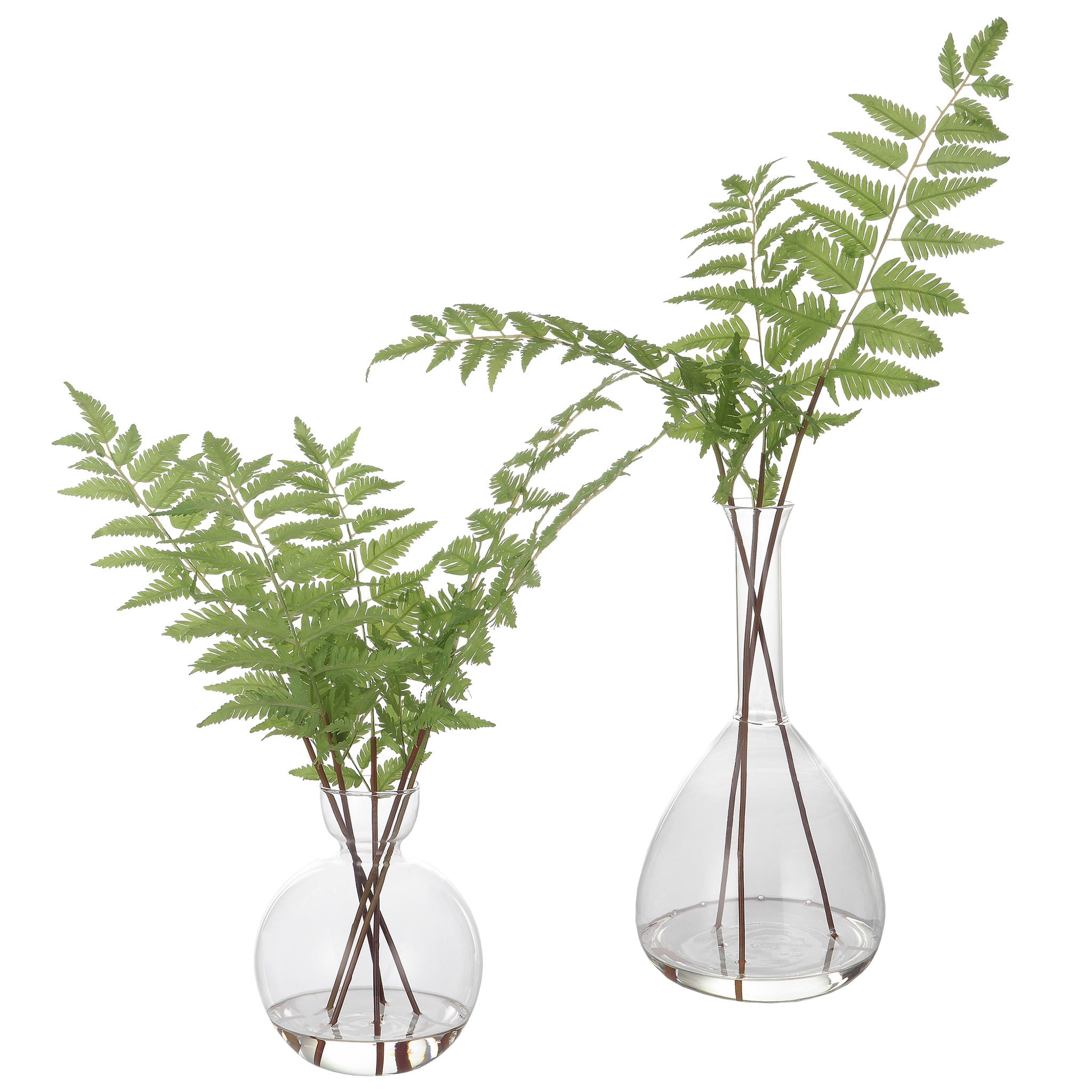 Country – Ferns (Set of 2)