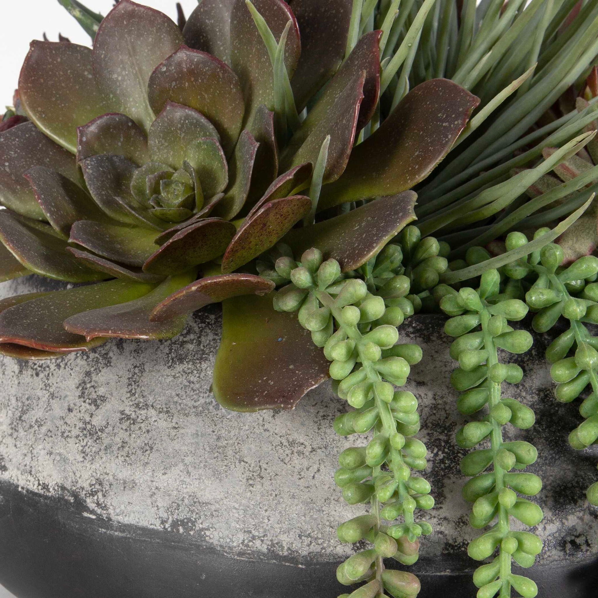 Yuma - Succulent Centerpiece - Gray - Image 2