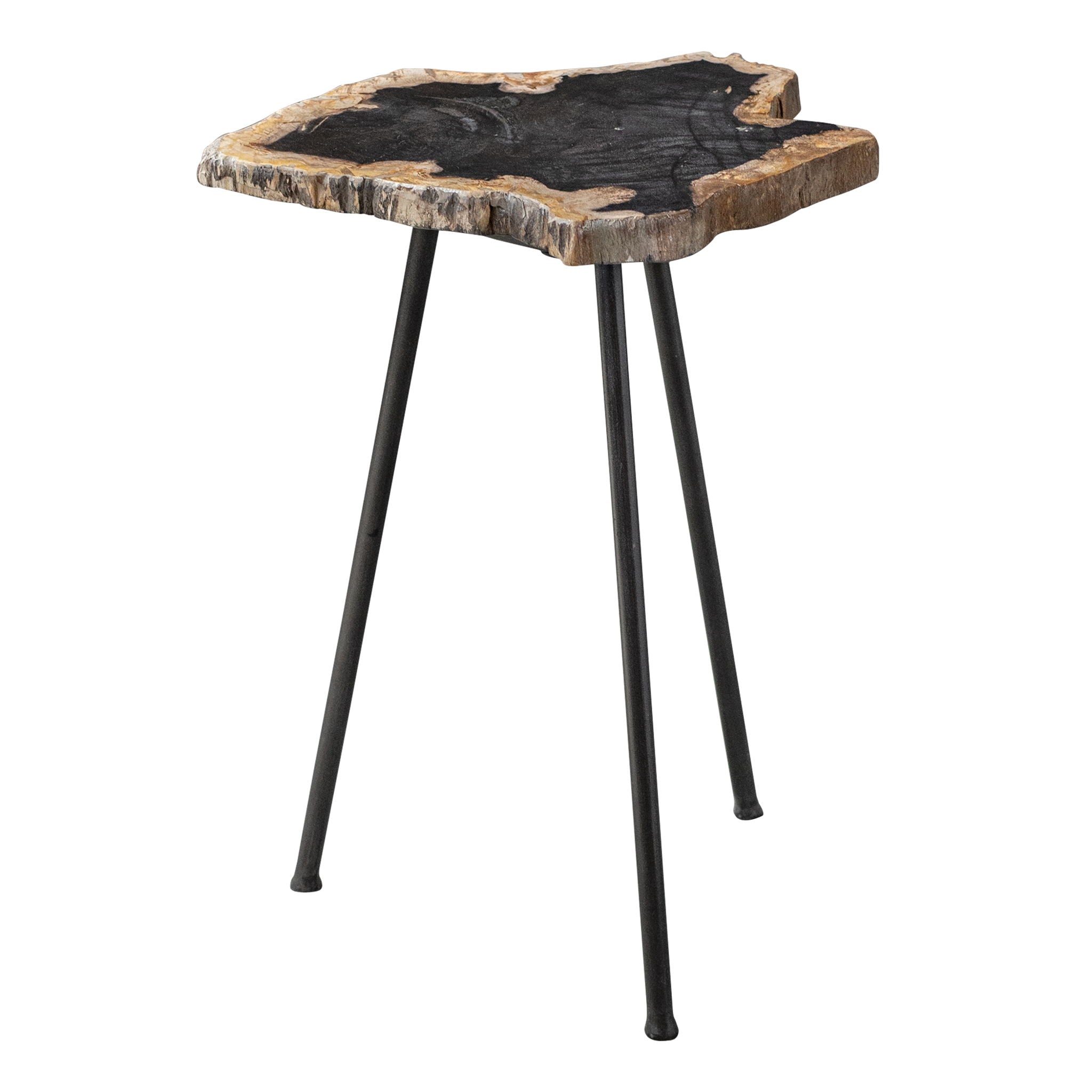 Mircea - Petrified Wood Accent Table - Black & Light Brown - Image 1