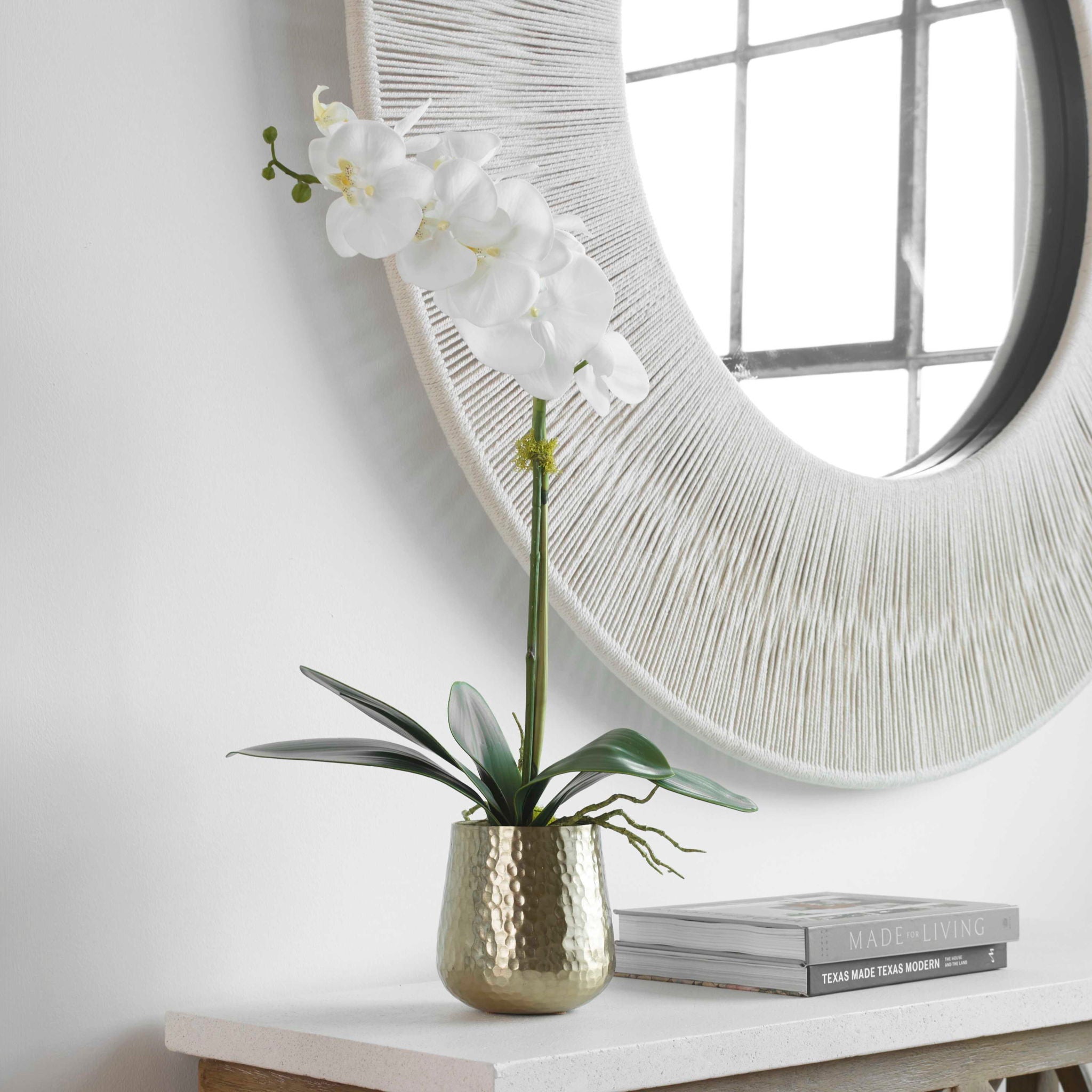 Cami Orchid - Orchid With Brass Pot - White - Image 3