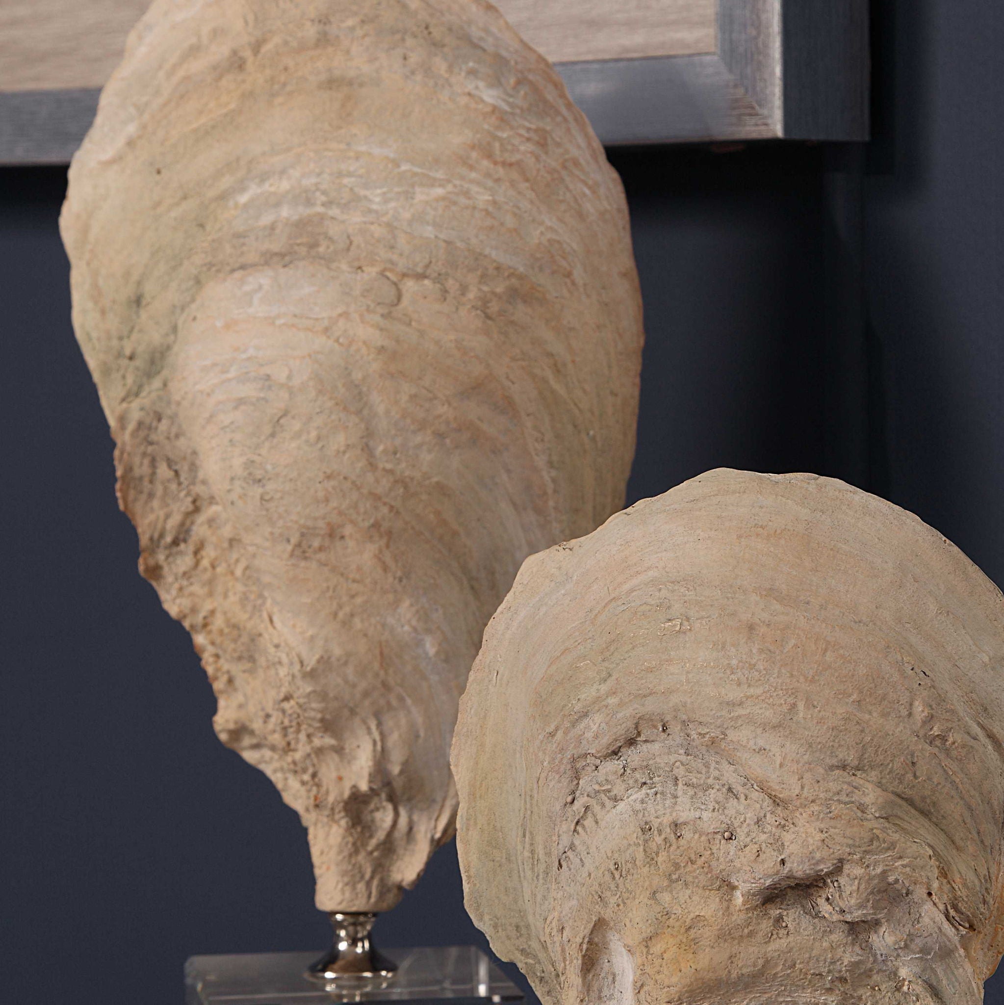 Oyster - Shell Sculptures (Set of 2) - Beige - Image 3