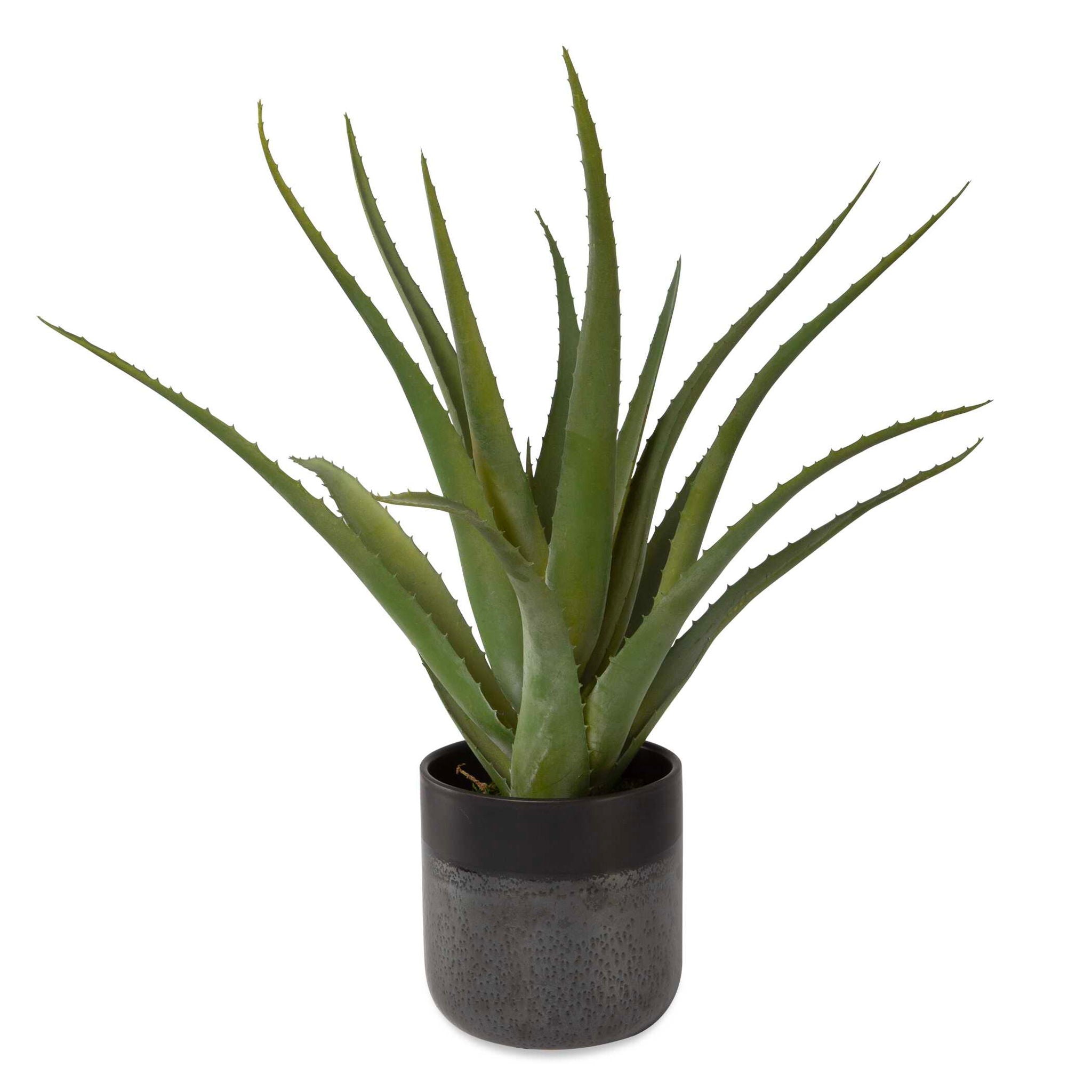 Tucson - Aloe Planter - Black - Image 2