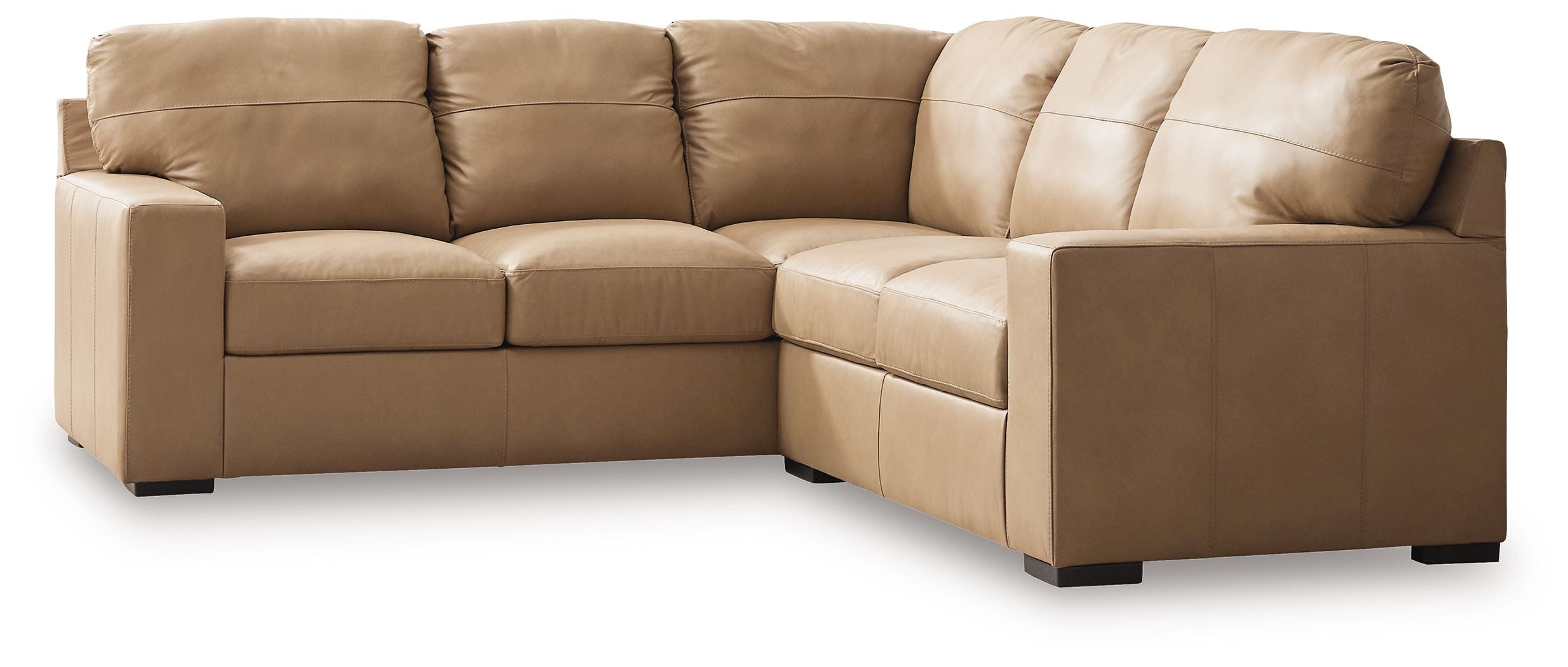 Bandon – Sectional – Leather Match