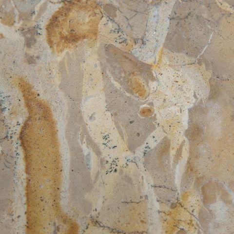 Edurton - Tray - Image 3