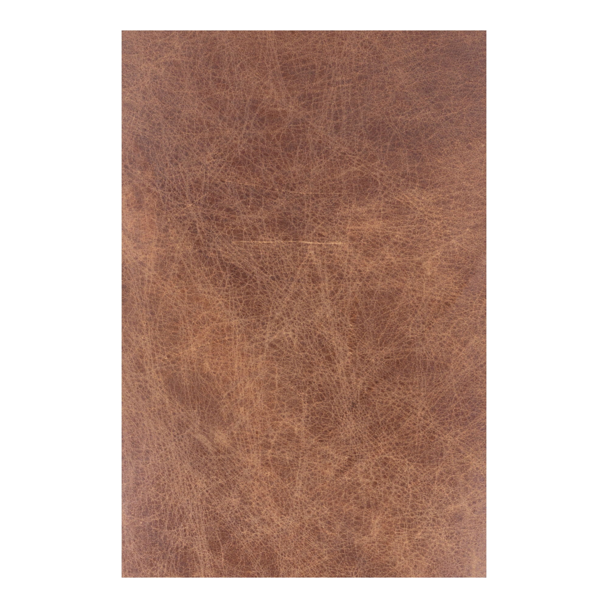 Carlisle - Club Chair - Dark Brown - Image 2
