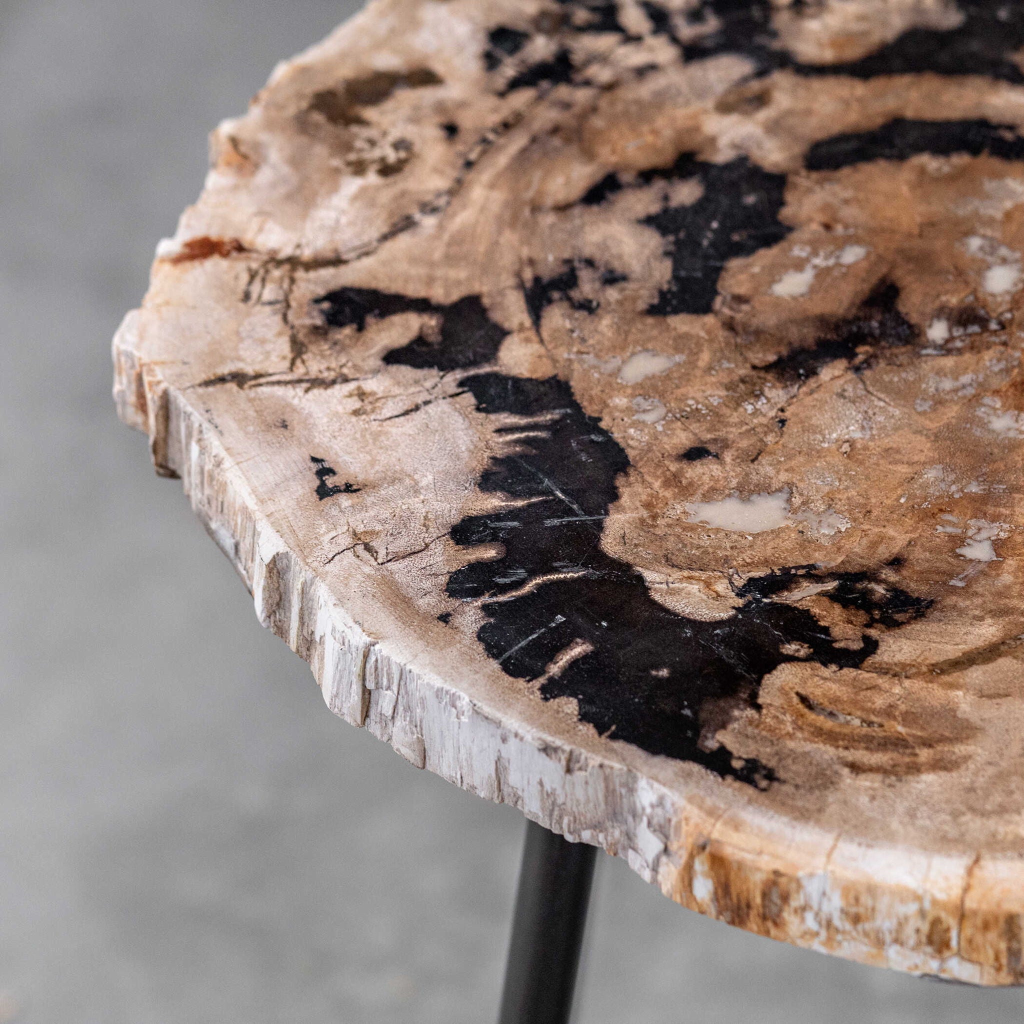Mircea - Petrified Wood Accent Table - Black & Light Brown - Image 2