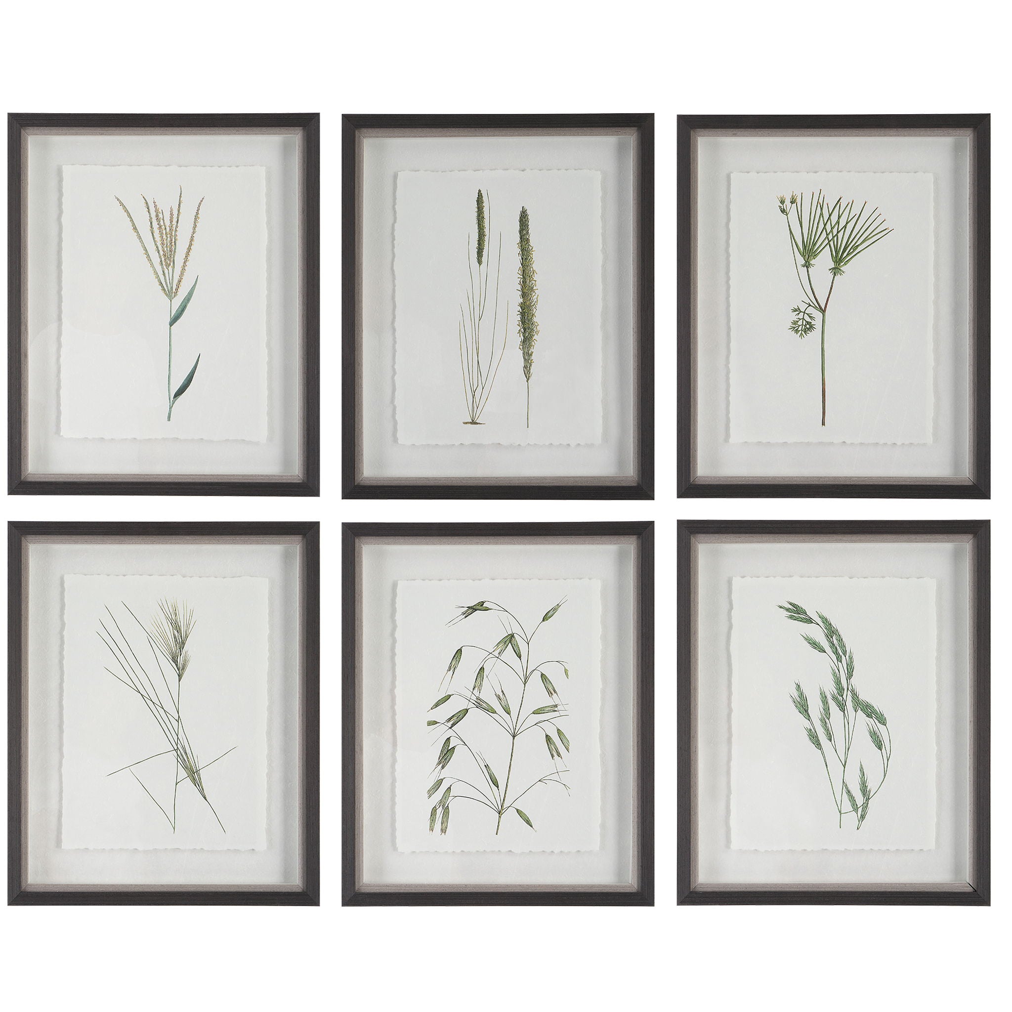 Forest – Finds Framed Prints (Set of 6)