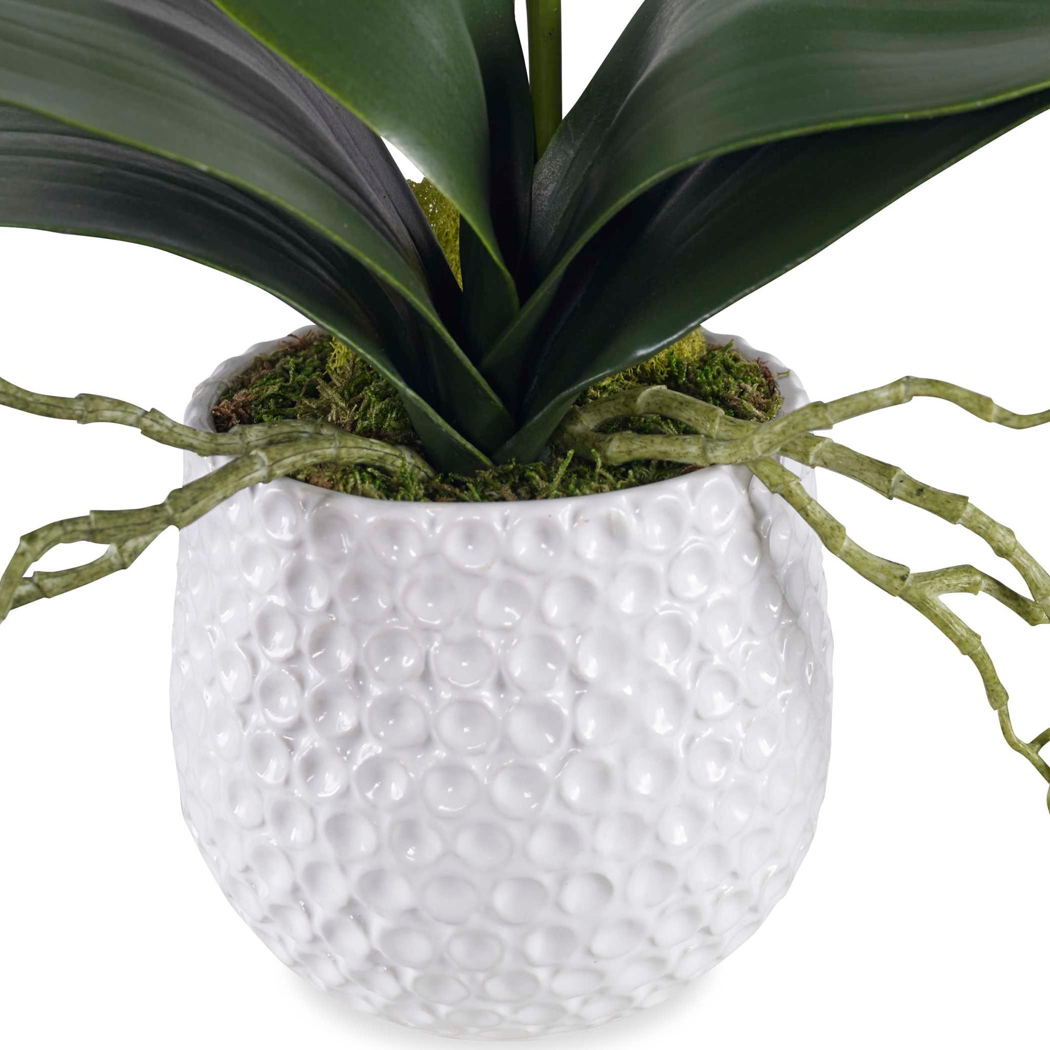 Cami - Orchid - White - Image 3