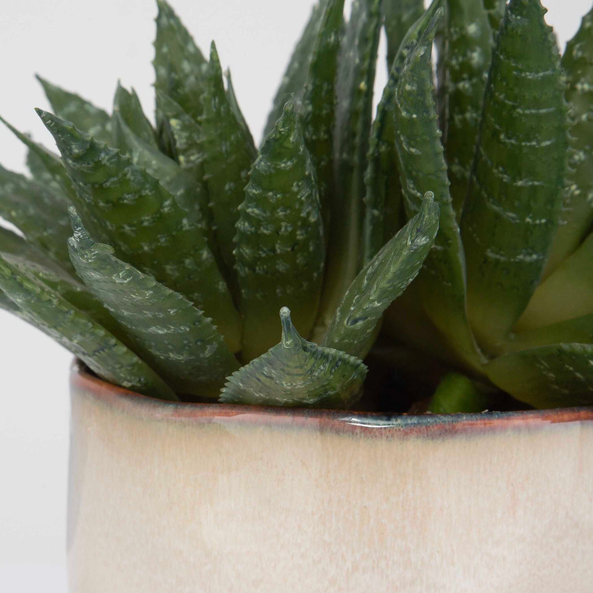 Doha - Succulent Accent - Pearl Silver - Image 3
