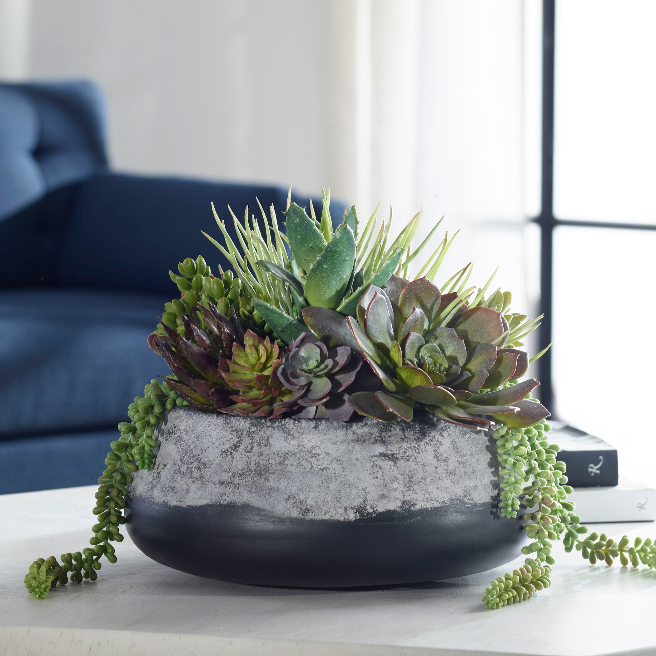 Yuma - Succulent Centerpiece - Gray - Image 3