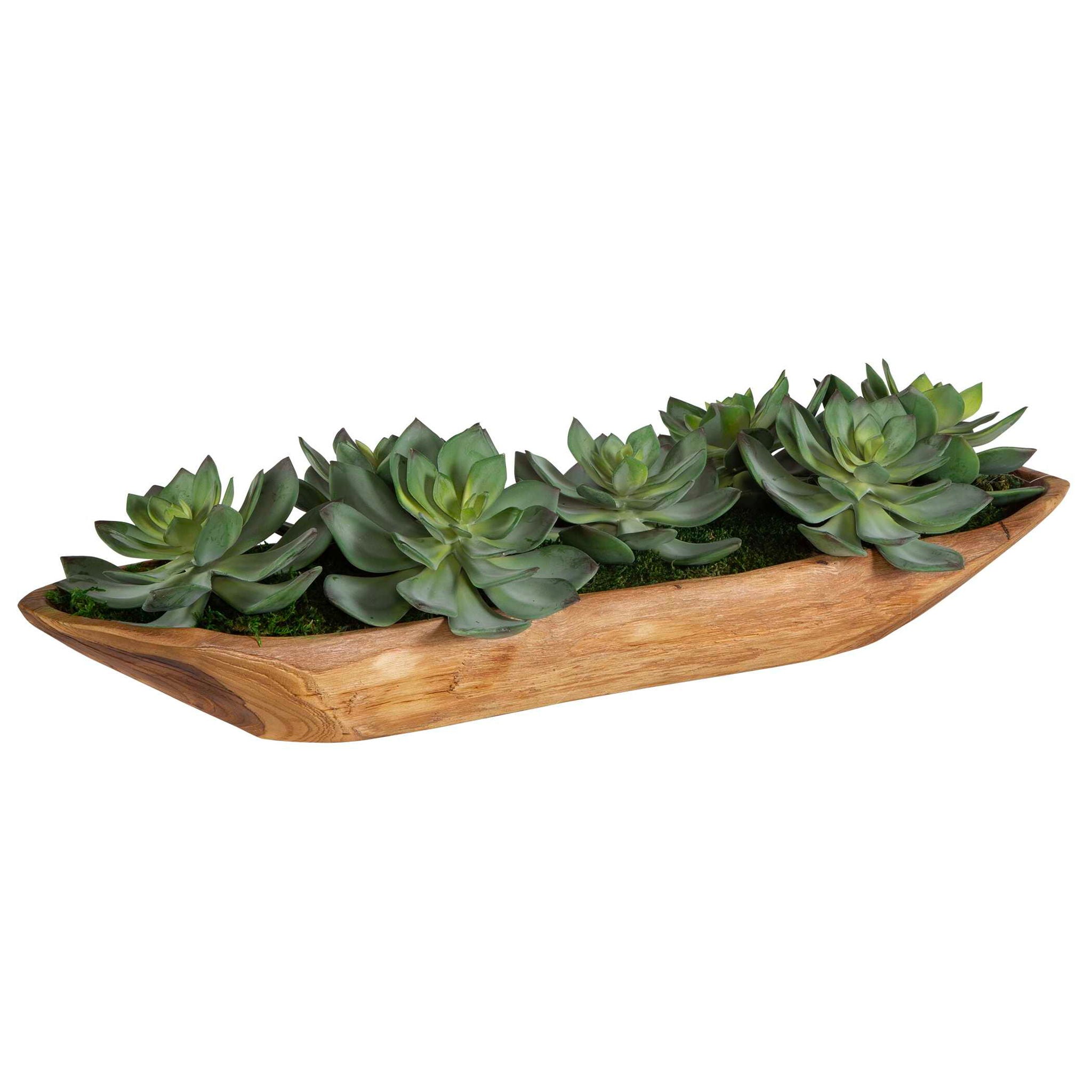 Yuma - Succulent Centerpiece - Dark Brown - Image 3