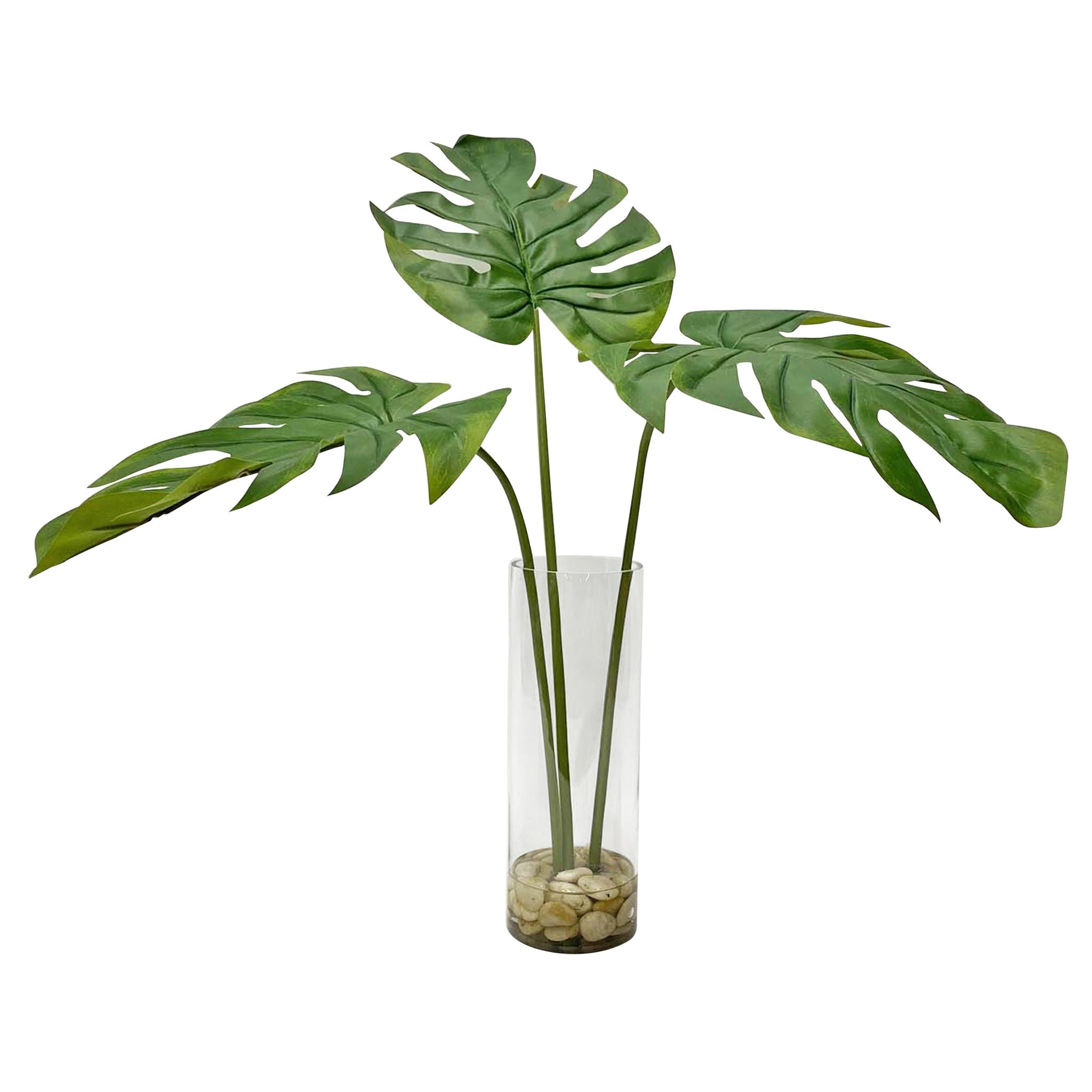 Ibero – Split Leaf Palm – Green