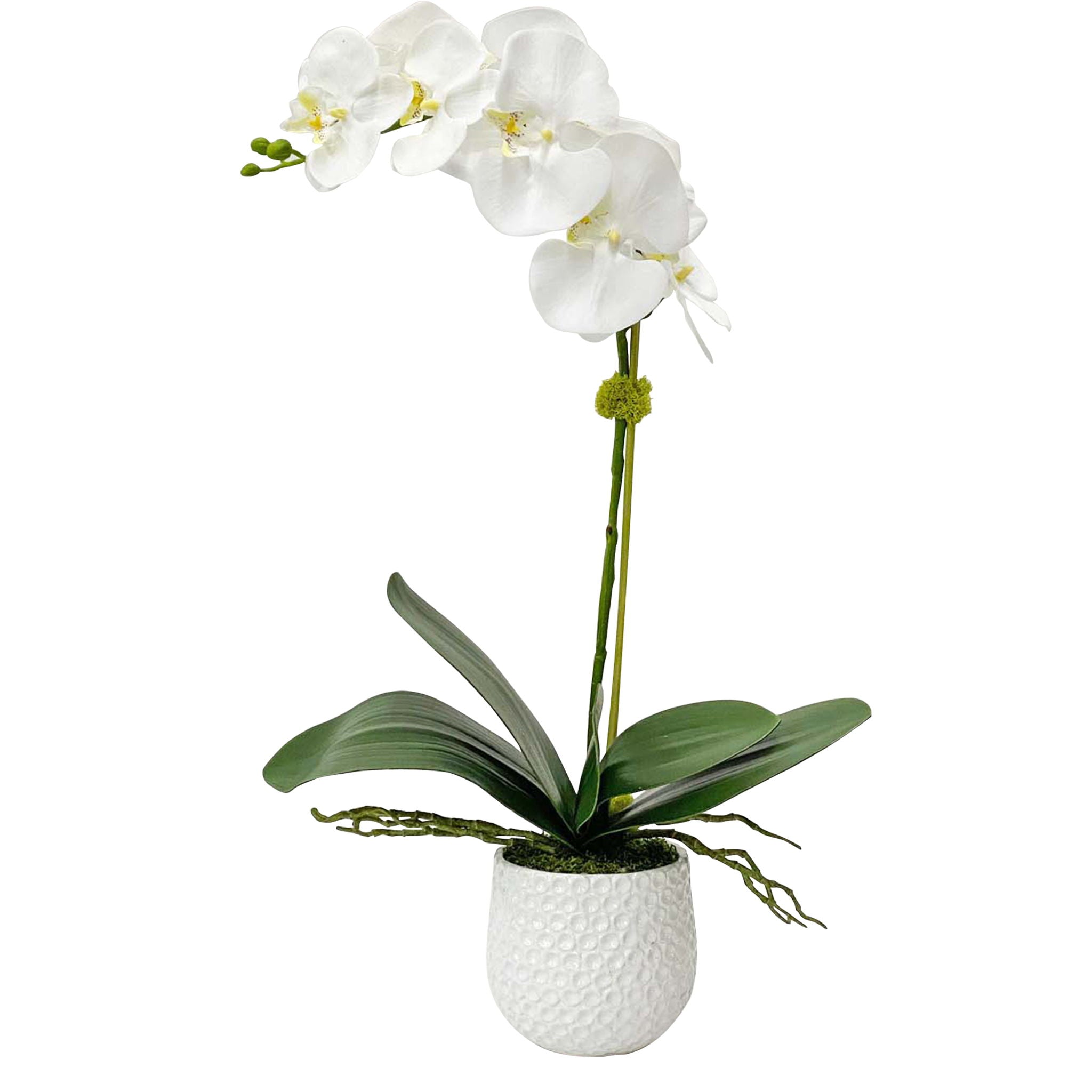 Cami – Orchid – White