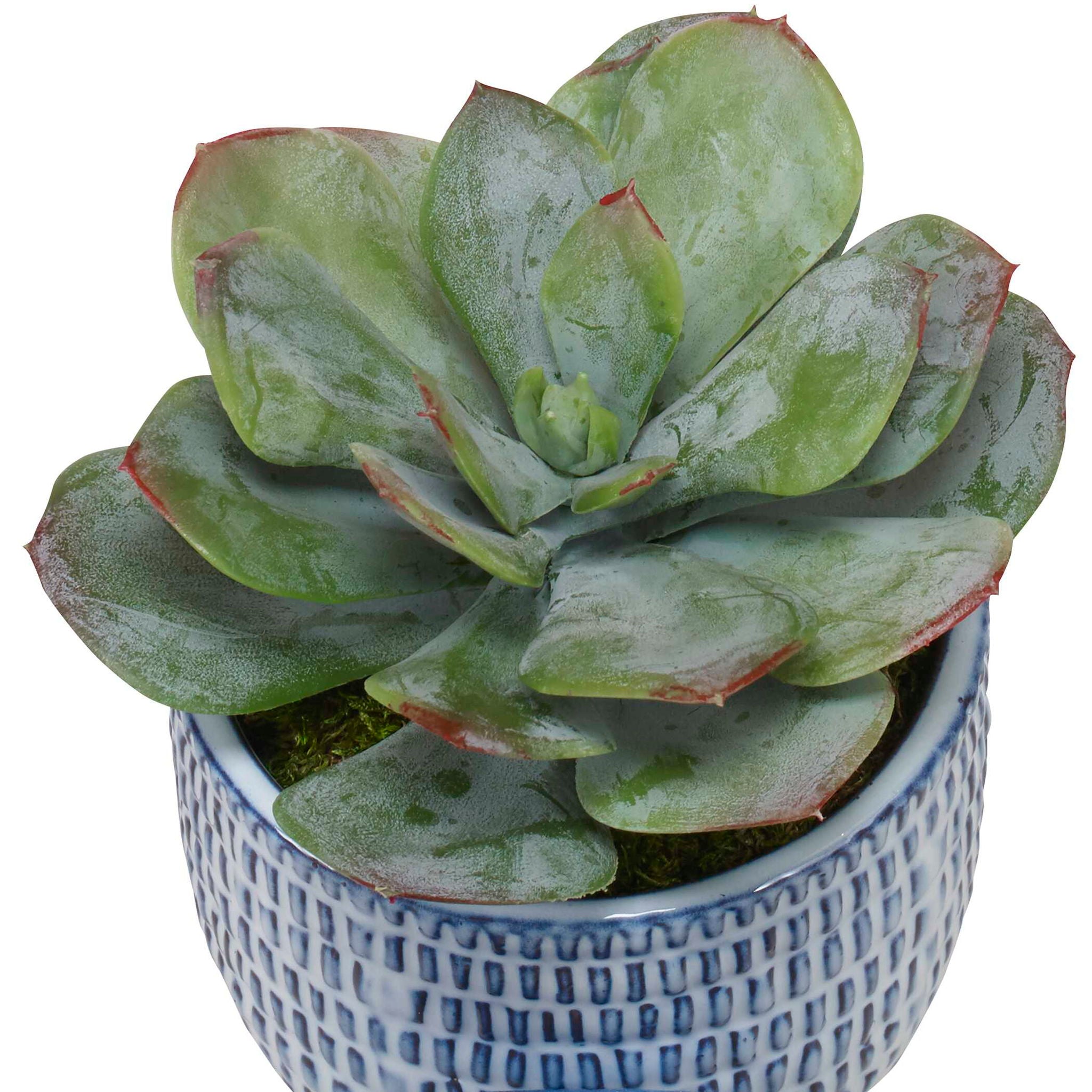 Puebla - Greenery In Blue & White Pots (Set of 3) - Green - Image 2