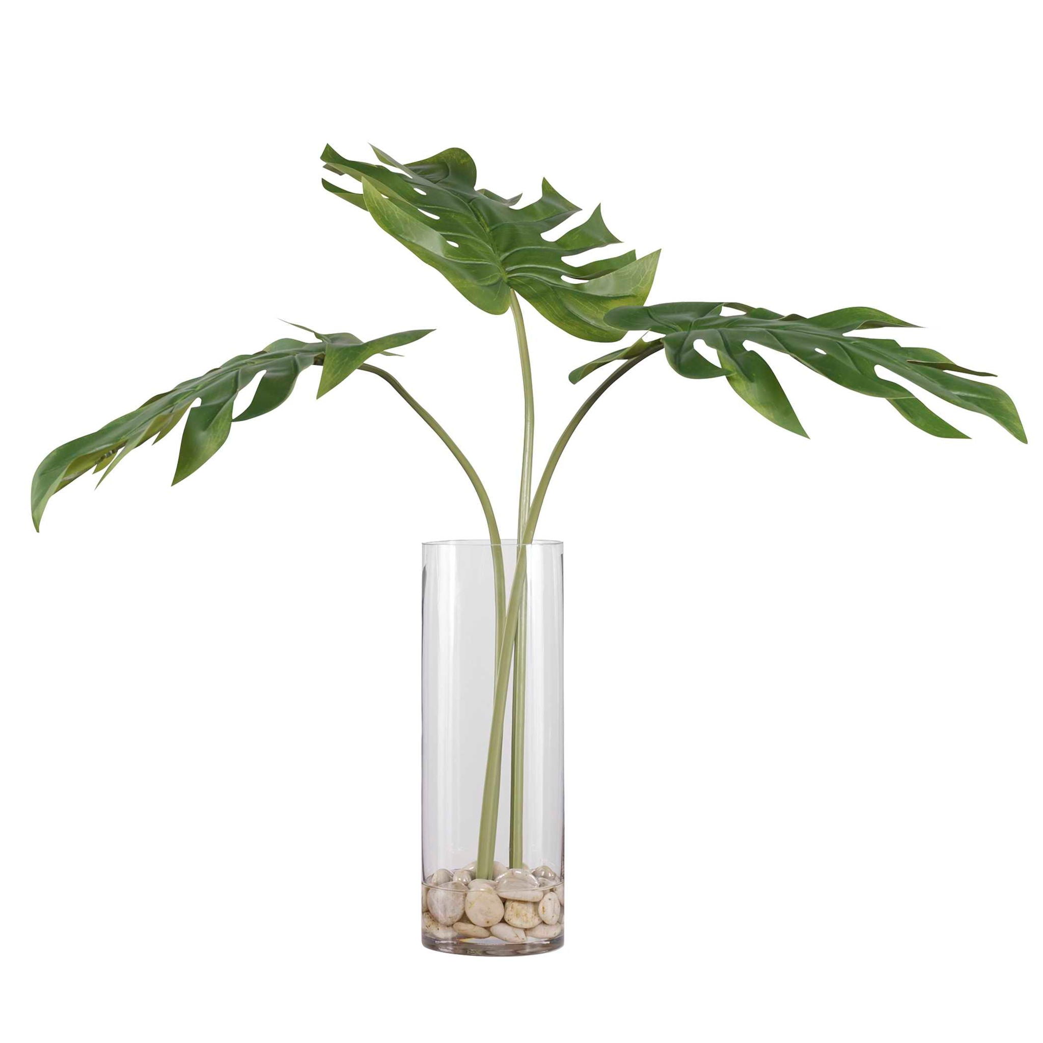 Ibero - Split Leaf Palm - Green - Image 3