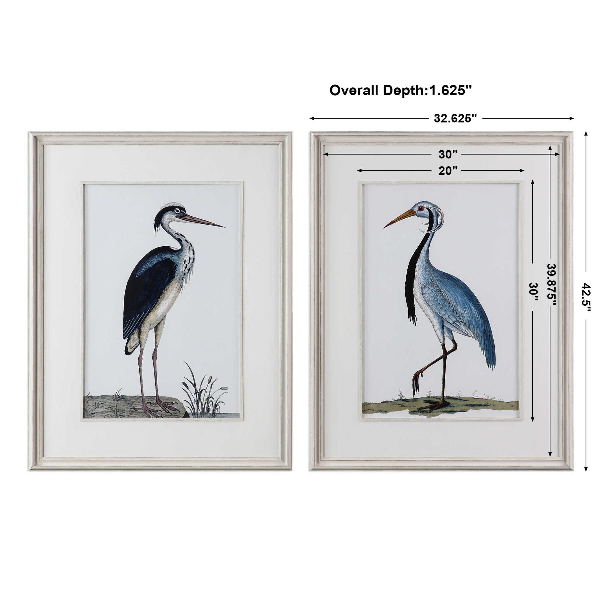 Shore Birds - Framed Prints (Set of 2) - Black - Image 3