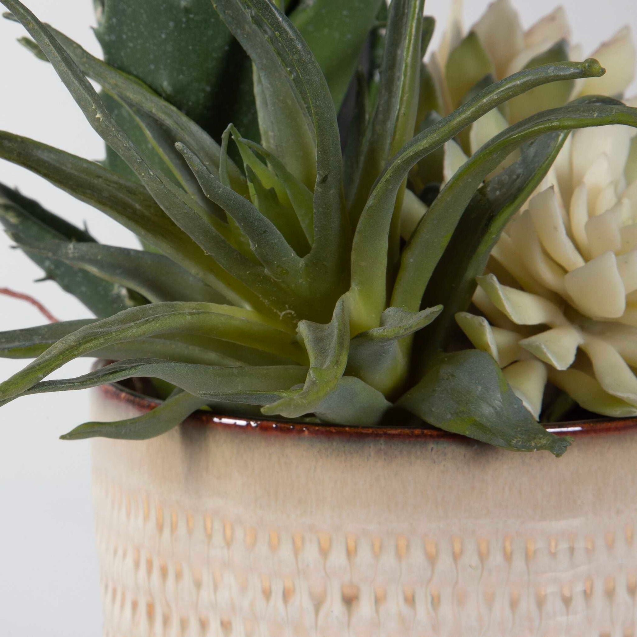 Seaside Succulents (Set of 2) - Pearl Silver - Image 3