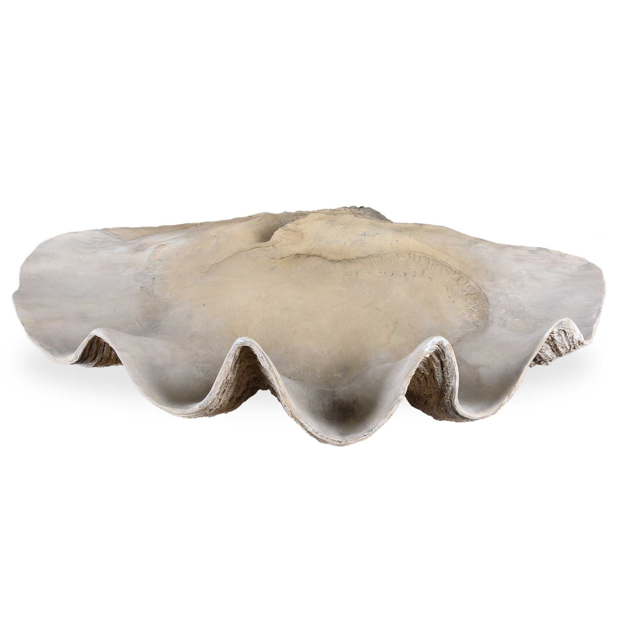 Clam - Shell Bowl - Beige - Image 1