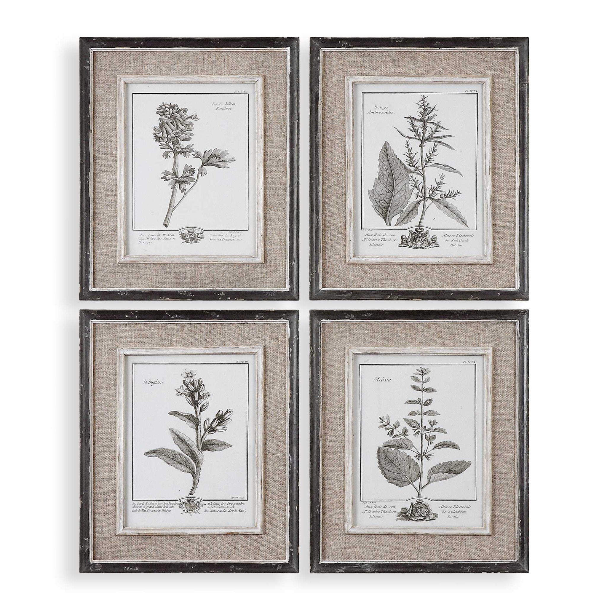 Casual Gray Study - Framed Art (Set of 4) - Beige - Image 1