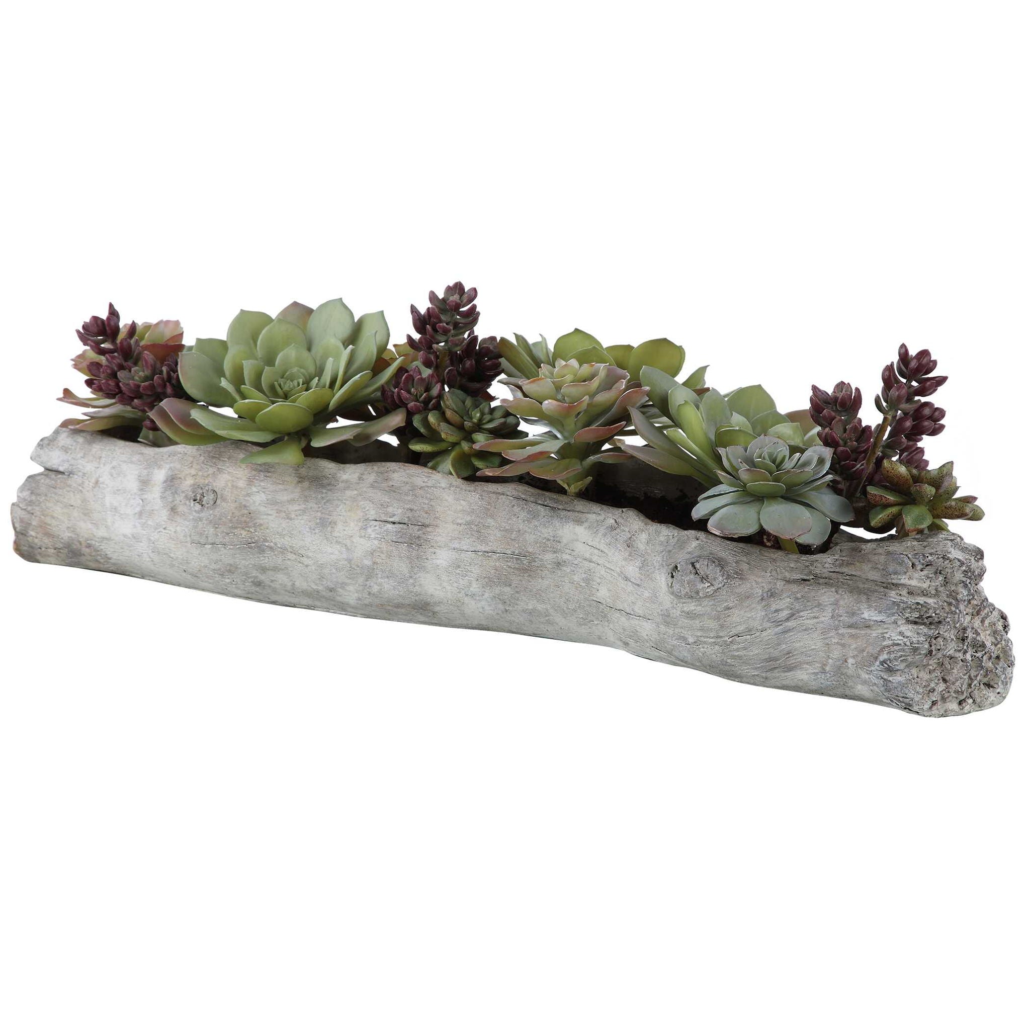Charita - Lush Succulents - Pearl Silver - Image 3
