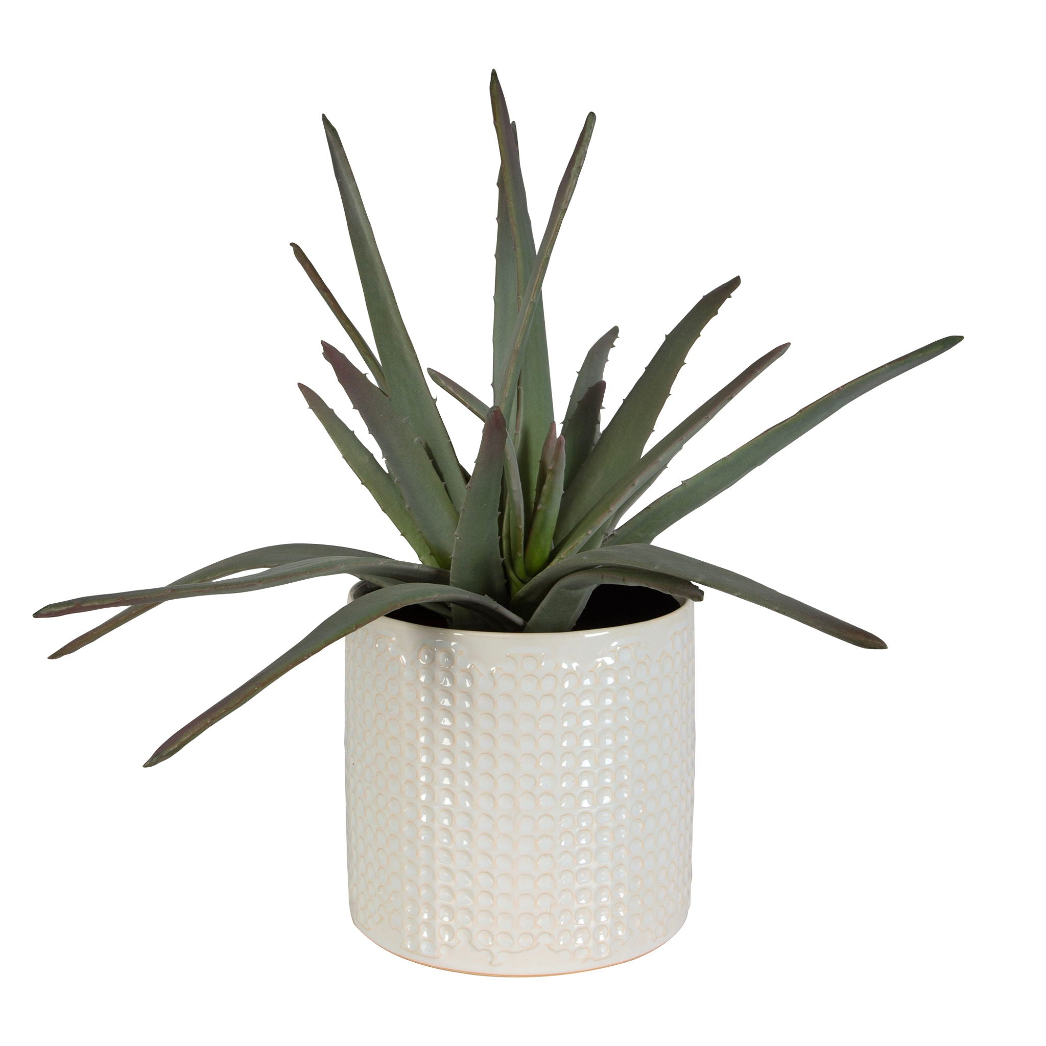 Taos – Aloe Centerpiece – Pearl Silver