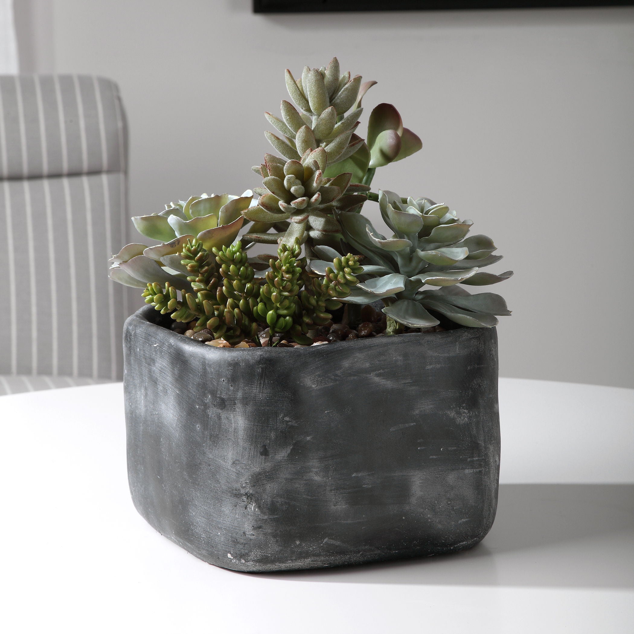 Alverio - Desert Garden Succulents - Pearl Silver - Image 3