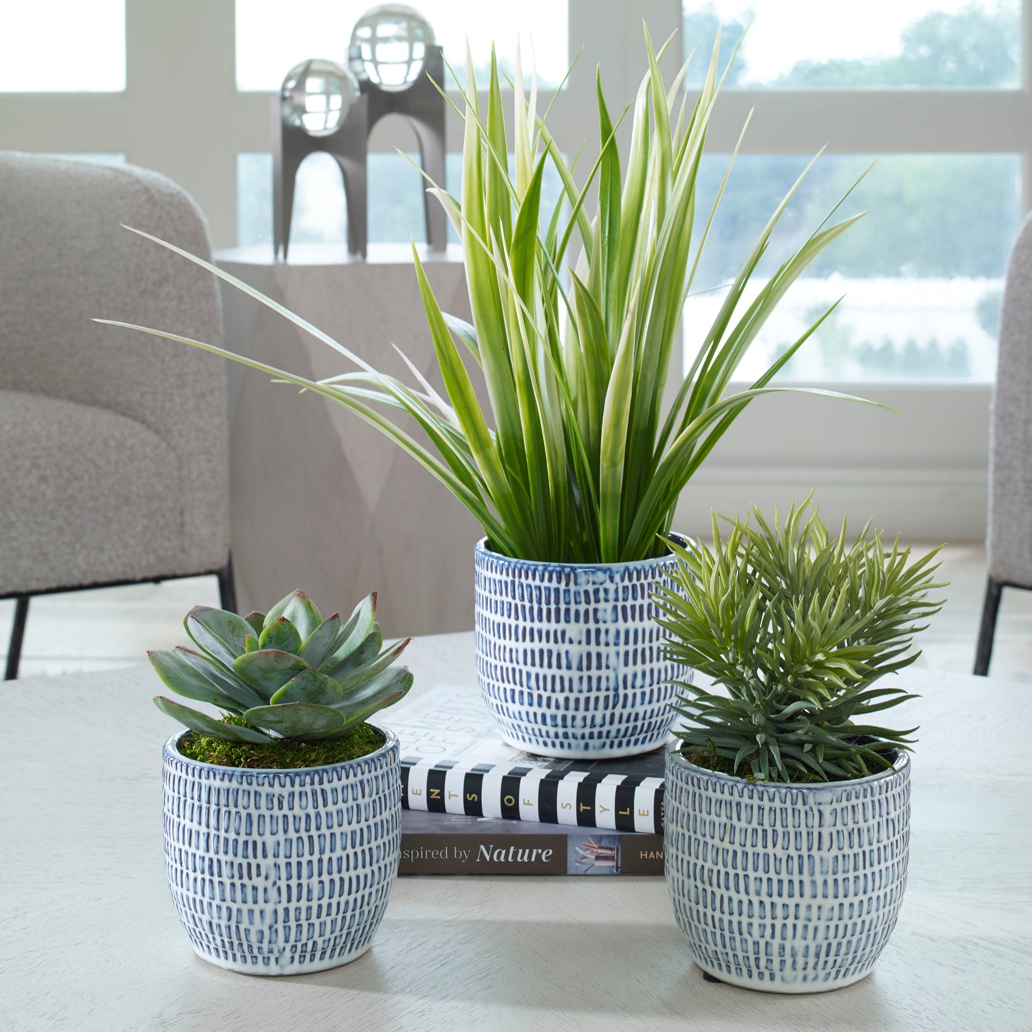 Puebla - Greenery In Blue & White Pots (Set of 3) - Green - Image 3