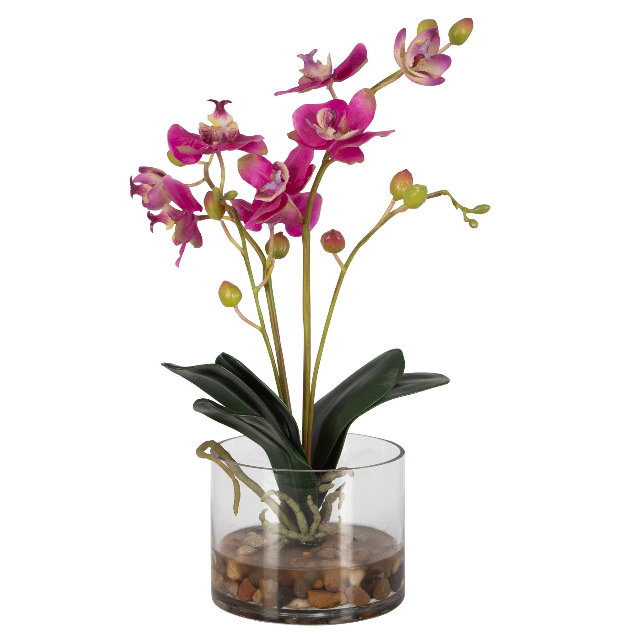 Glory Orchid – Fuchsia Orchid – Pearl Silver