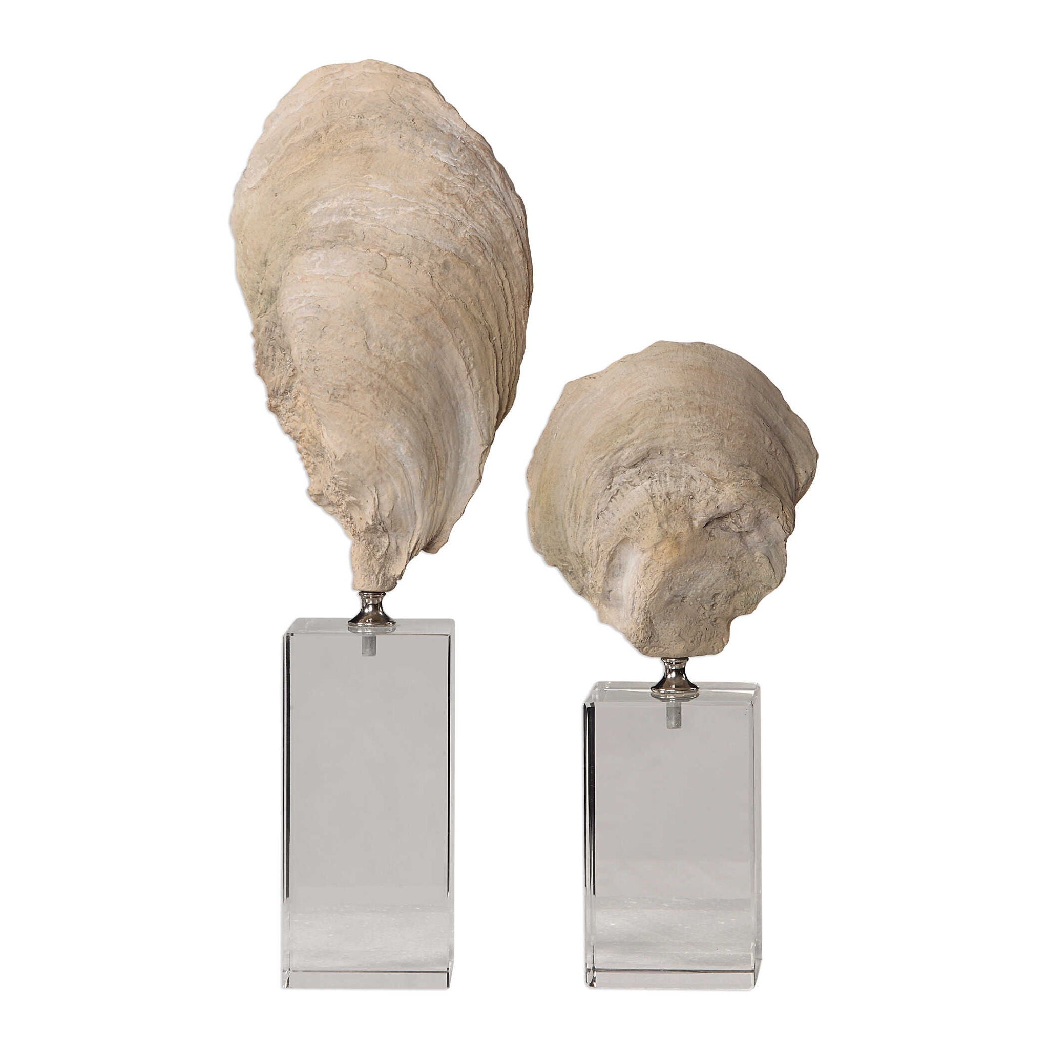 Oyster - Shell Sculptures (Set of 2) - Beige - Image 1