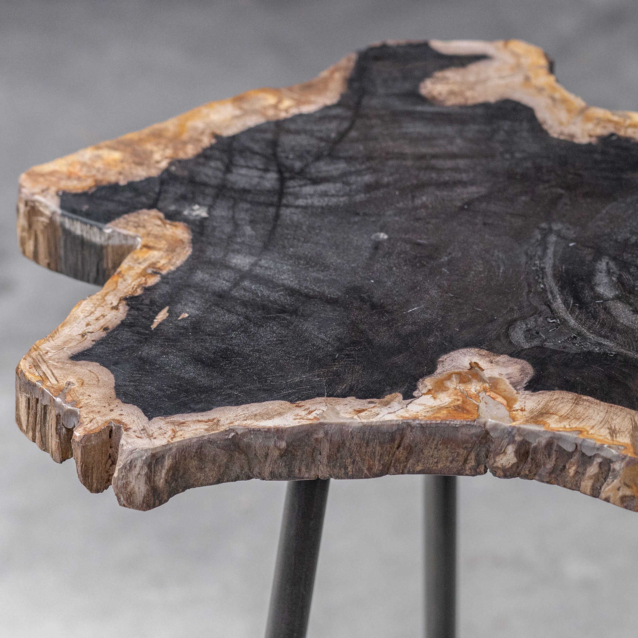 Mircea - Petrified Wood Accent Table - Black & Light Brown - Image 3