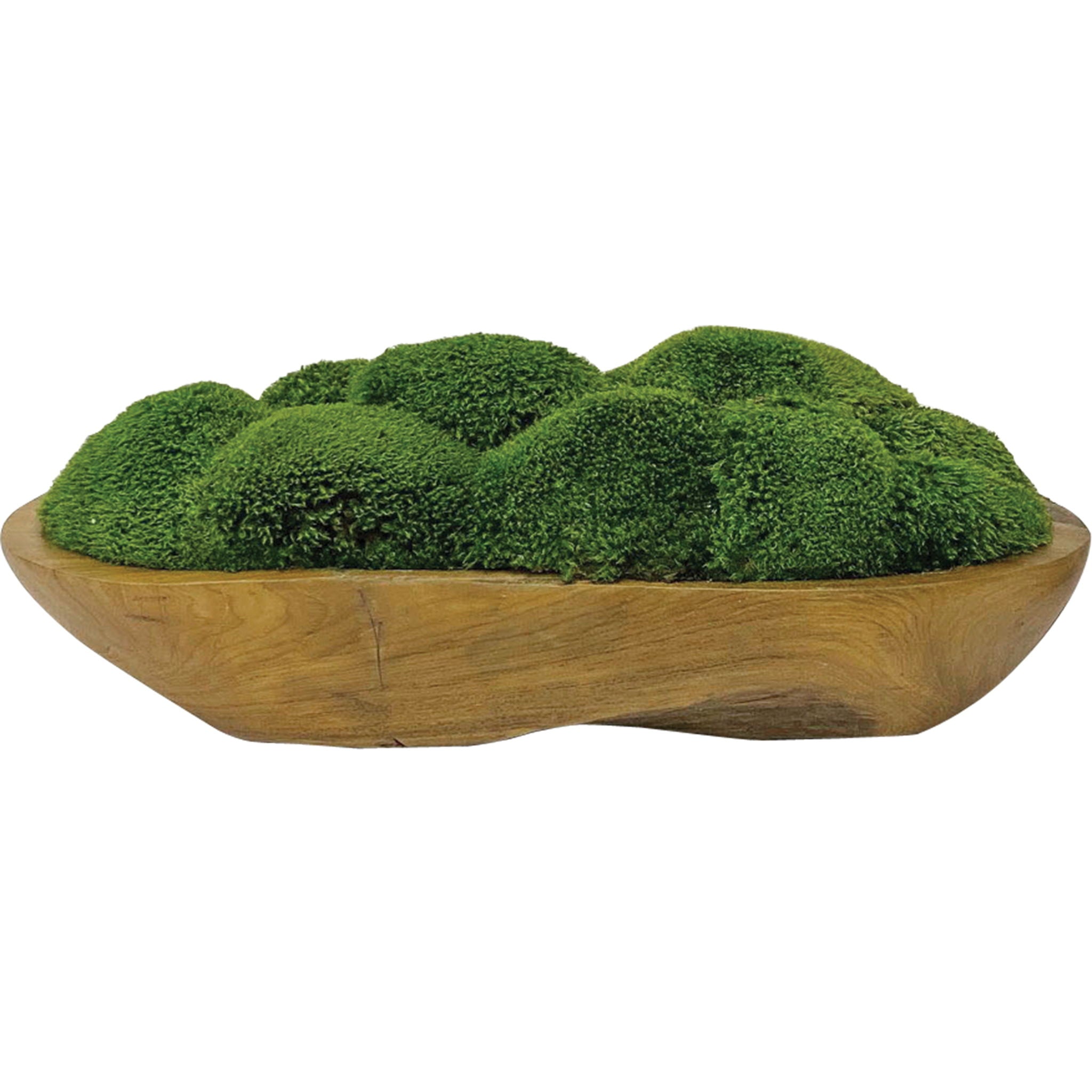 Kinsale – Moss Centerpiece – Light Brown