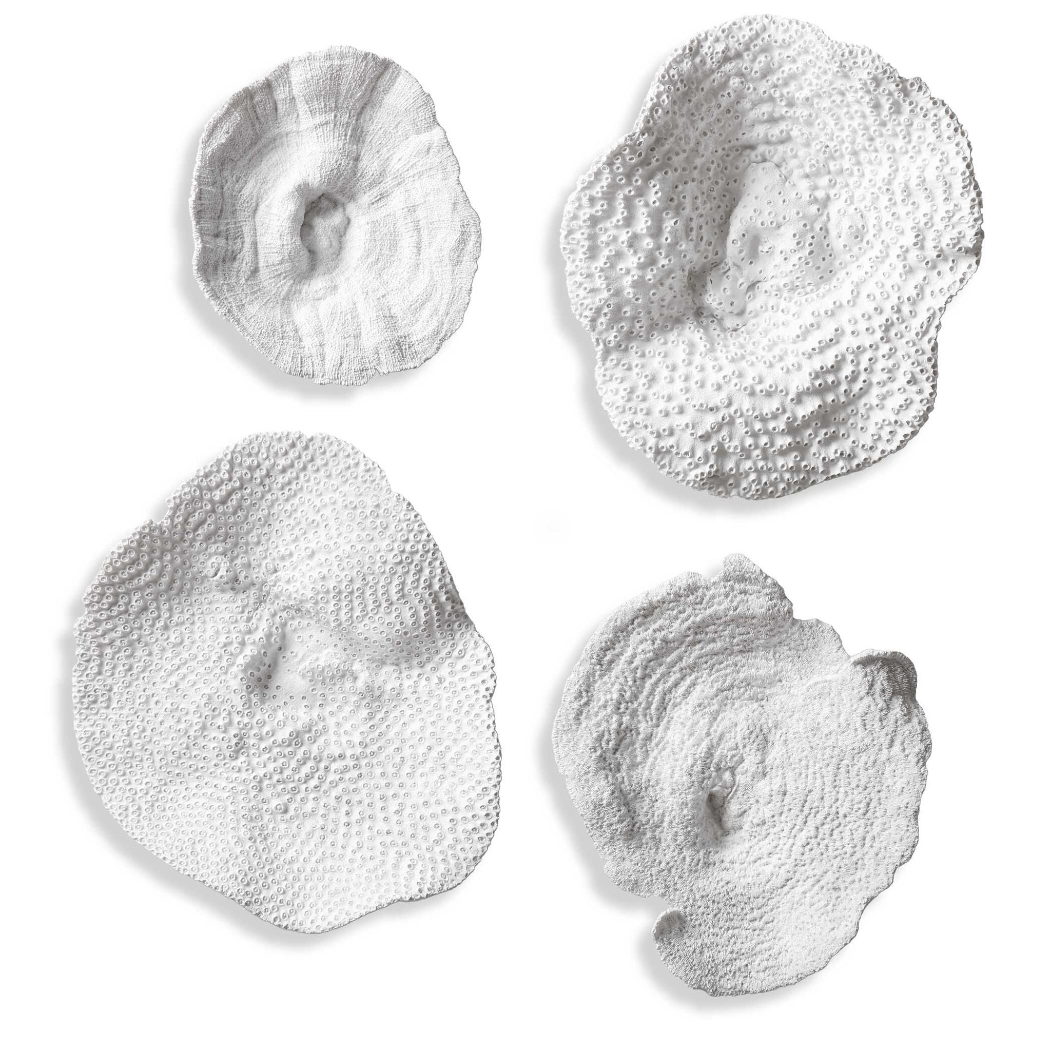 Sea Coral - Wall Art (Set of 4) - White - Image 1