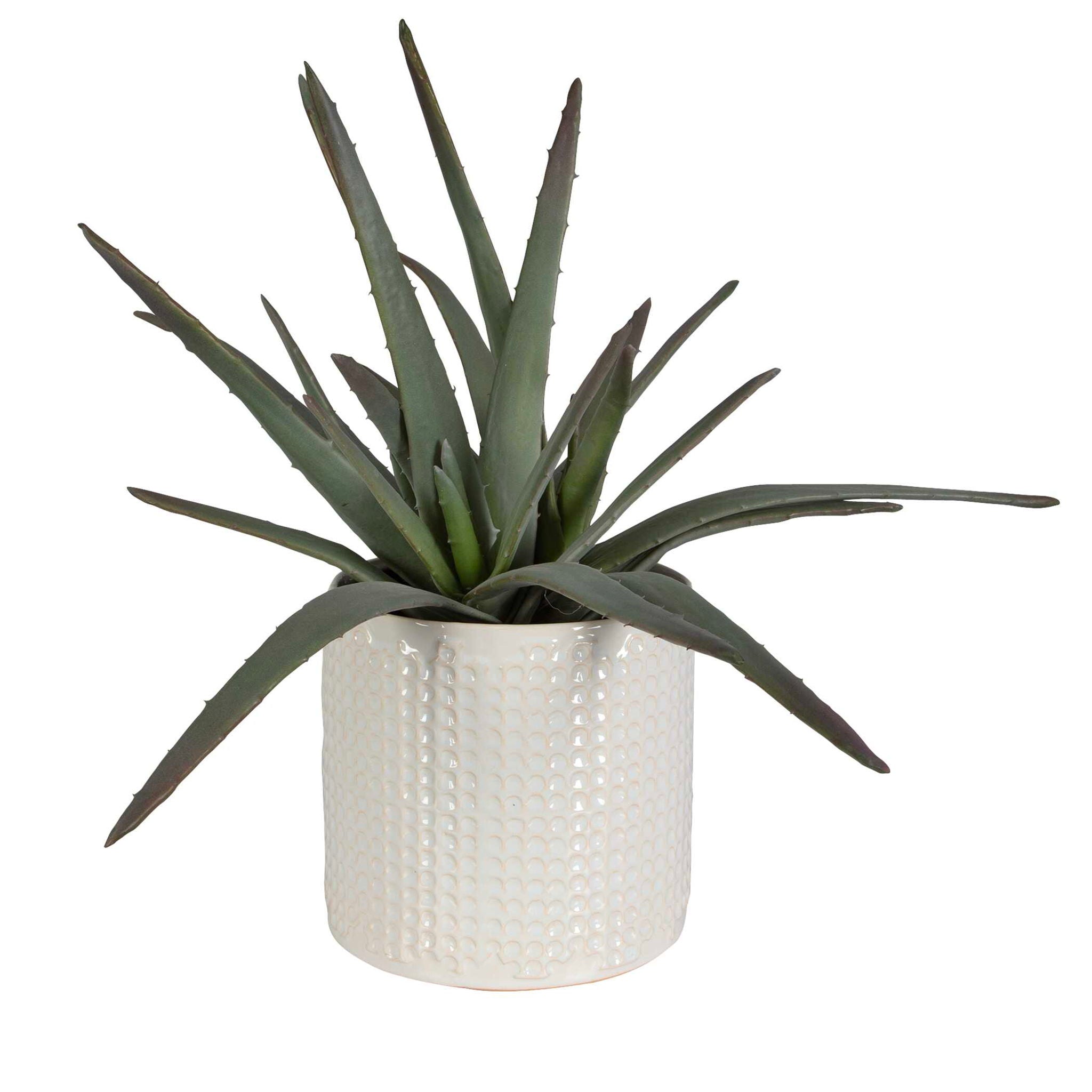 Taos - Aloe Centerpiece - Pearl Silver - Image 2