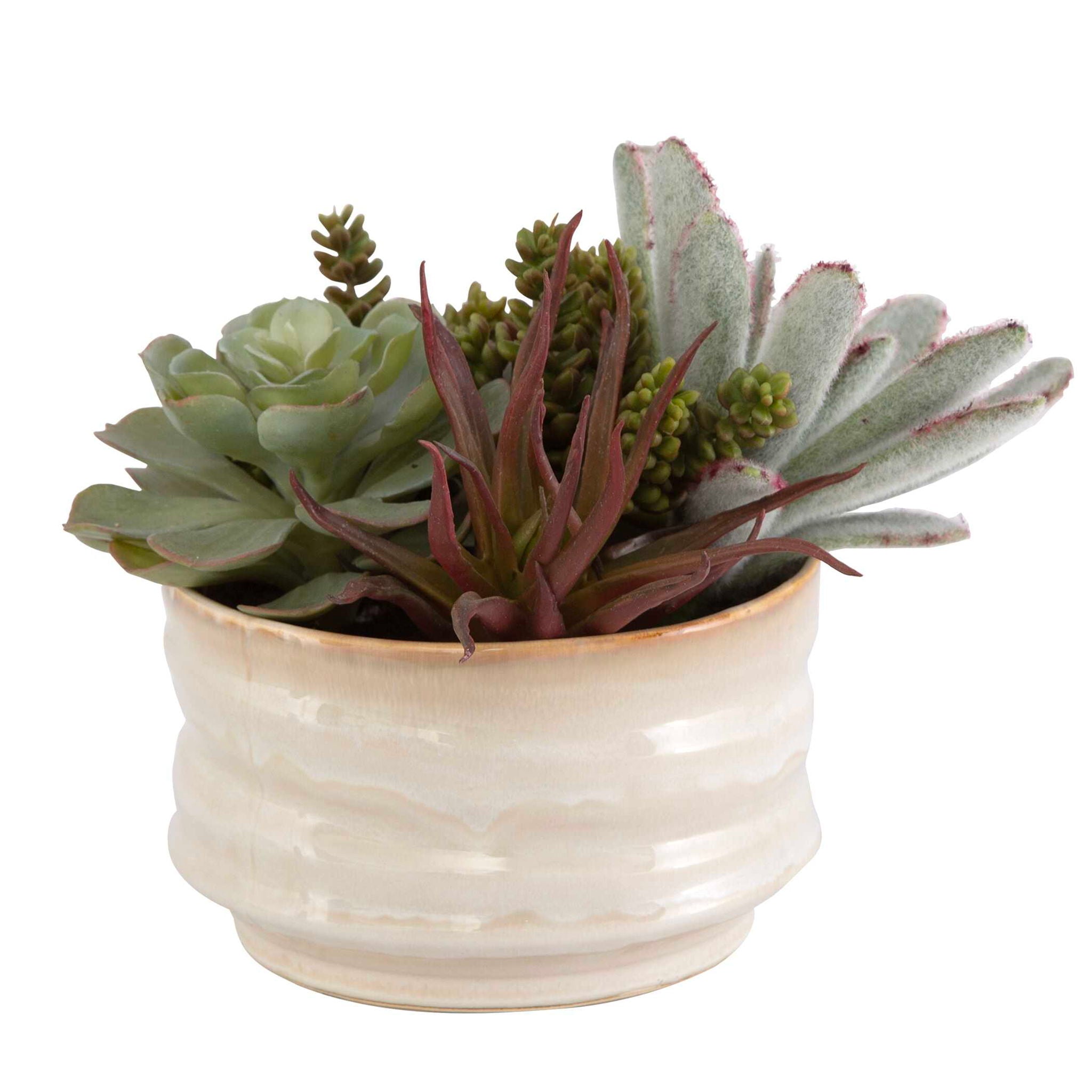 Mesa Succulent Accent - Pearl Silver - Image 3