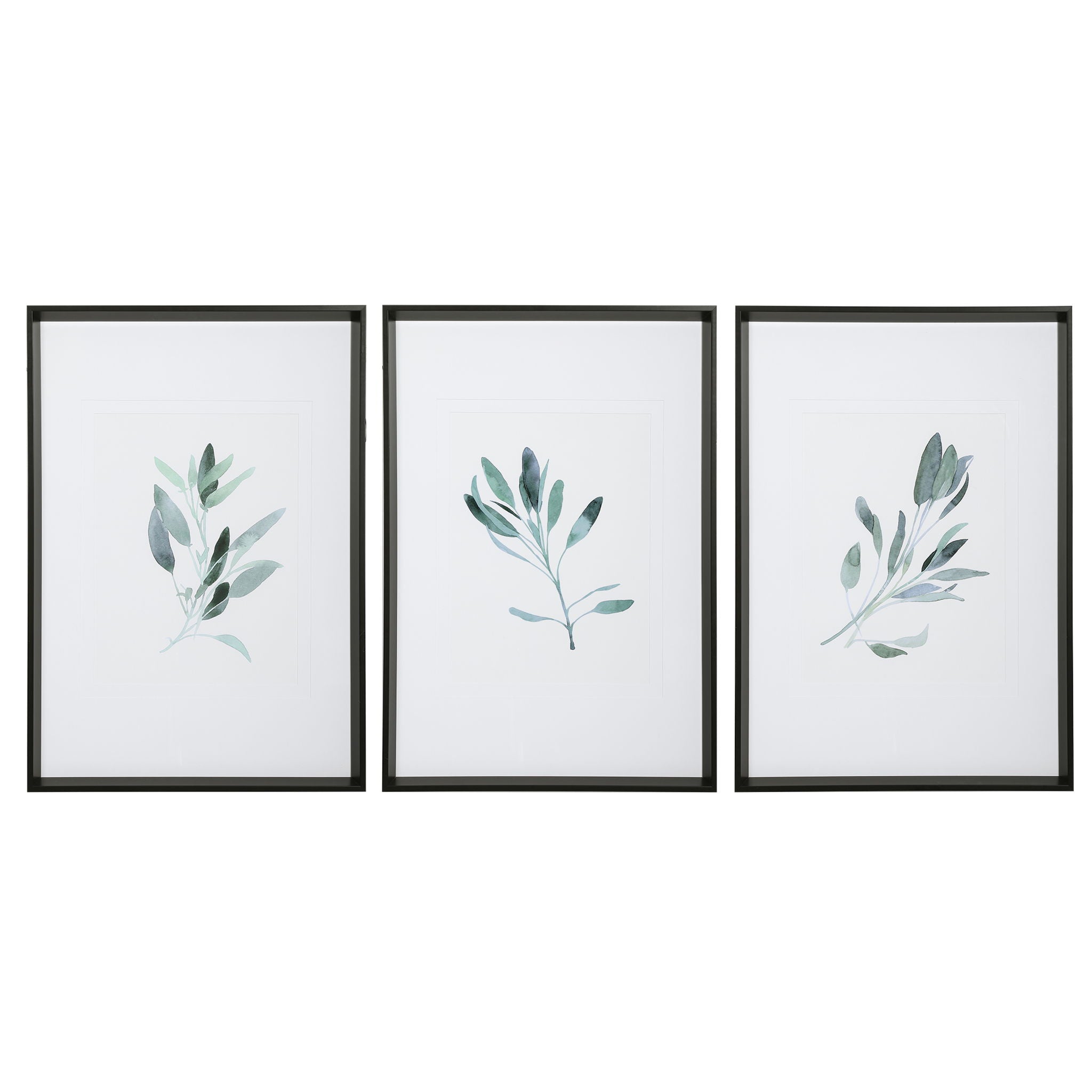 Simple Sage - Watercolor Prints (Set of 3) - White - Image 1