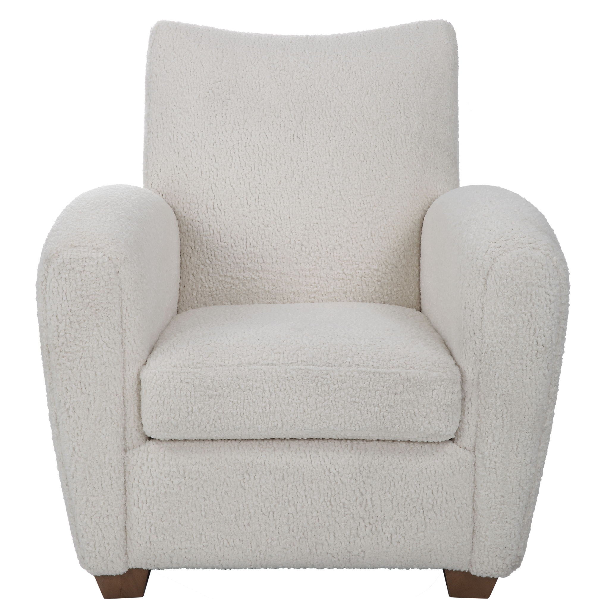 Teddy - Accent Chair - Image 1