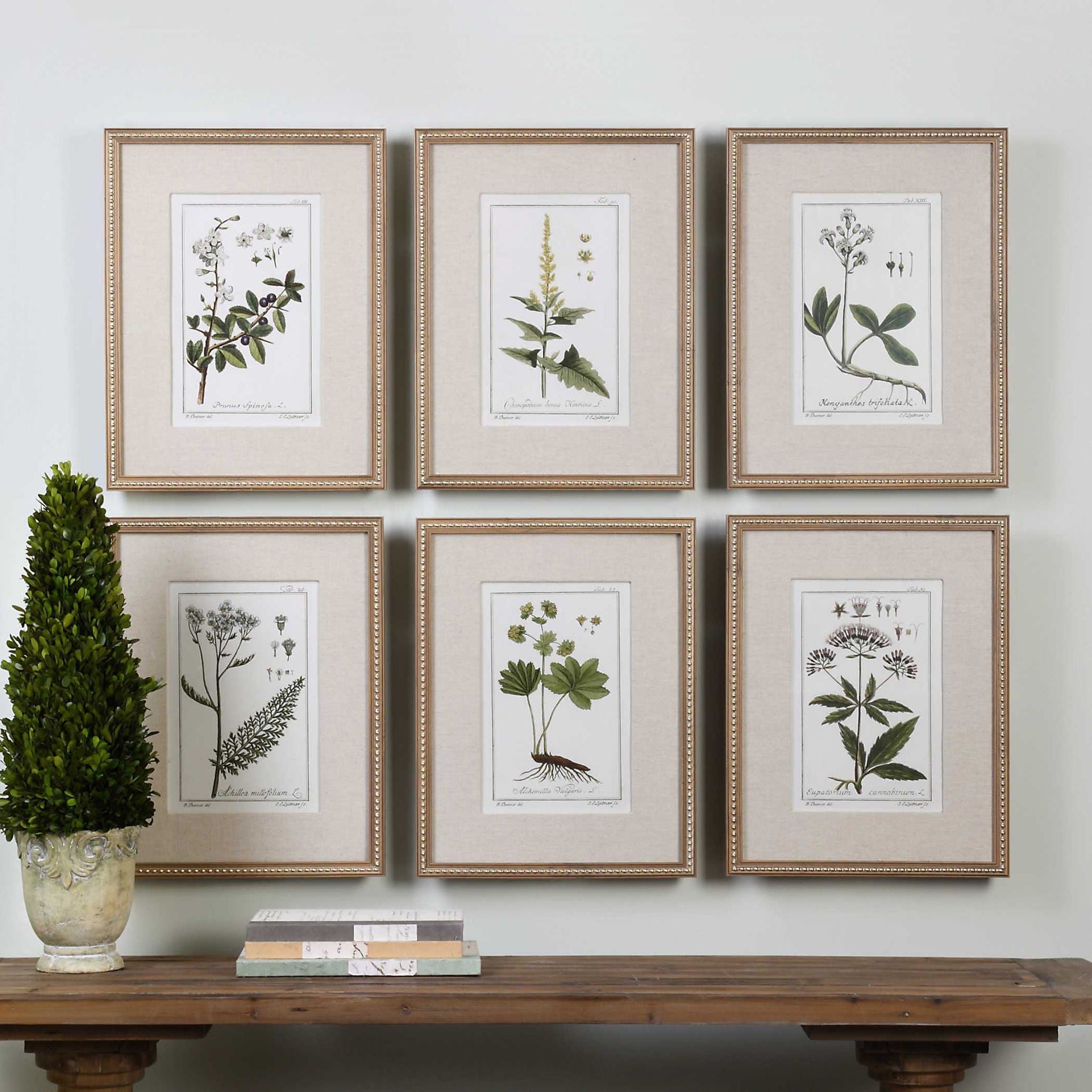 Green Floral Botanical Study - Prints (Set of 6) - Green - Image 2