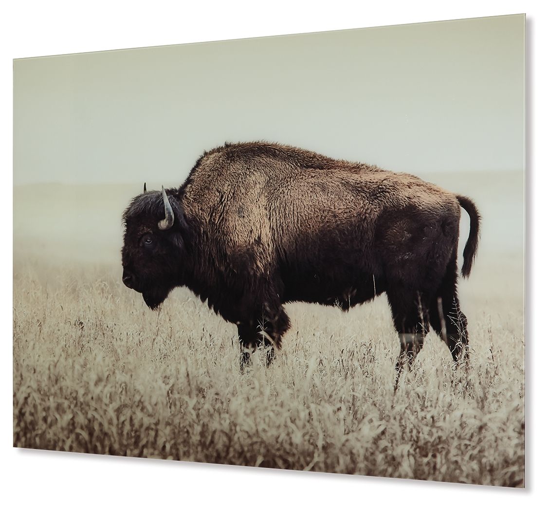 Brutus – Wall Art – Sepia