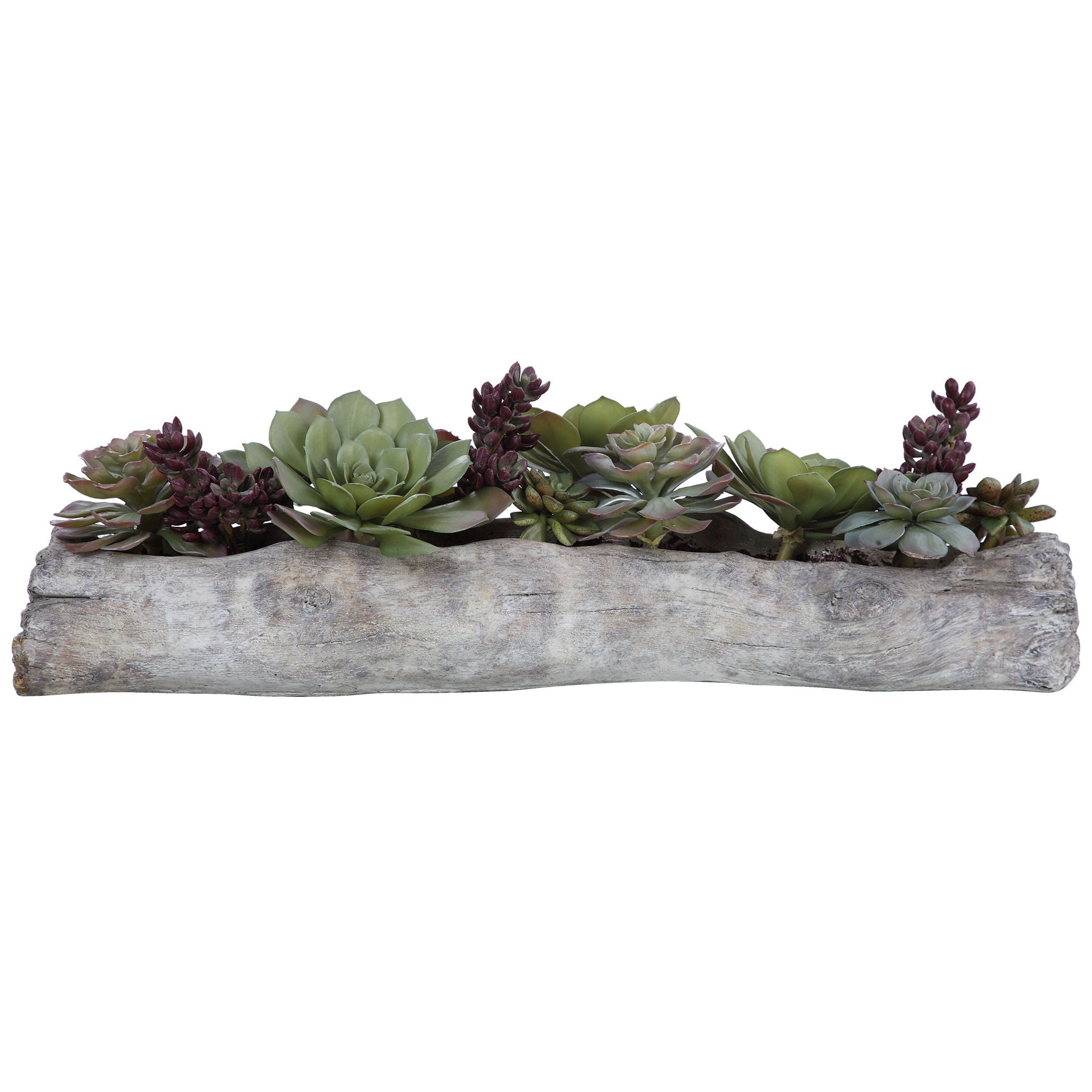 Charita – Lush Succulents – Pearl Silver
