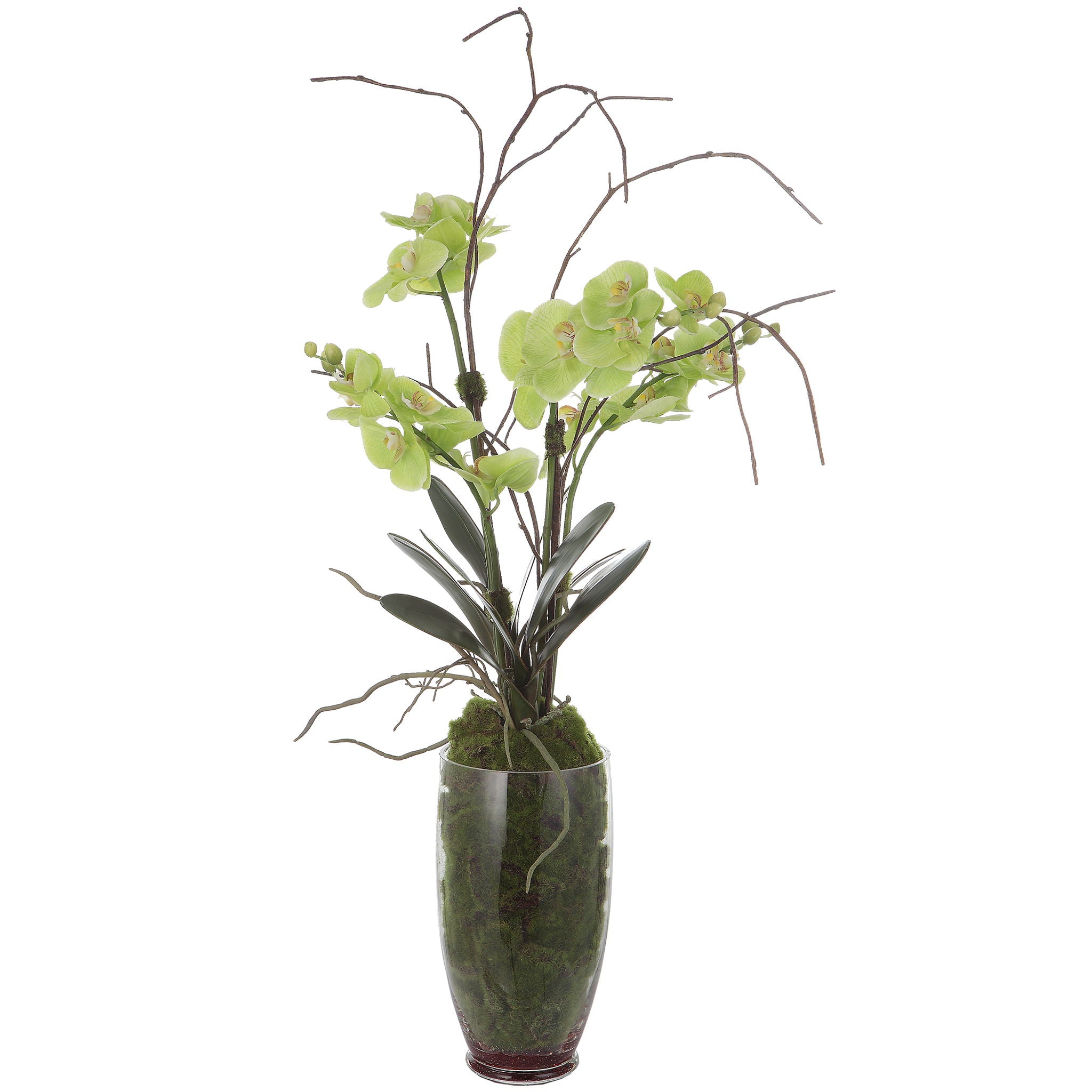 Valdive – Orchid