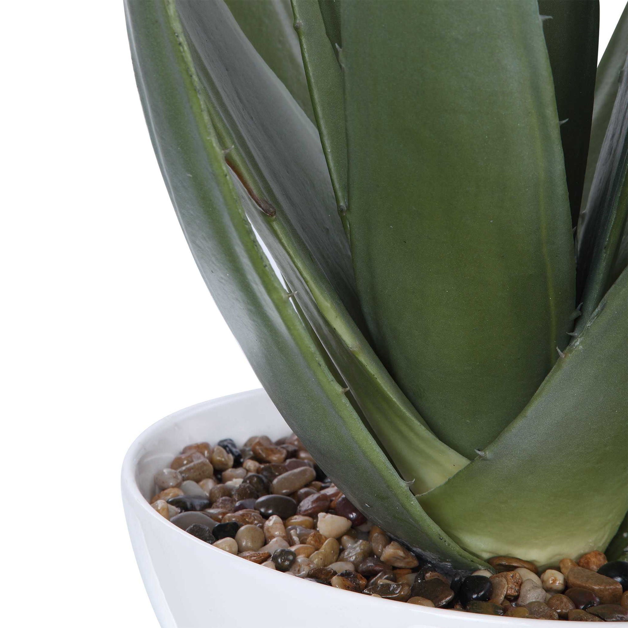 Evarado - Aloe Planter - White - Image 3