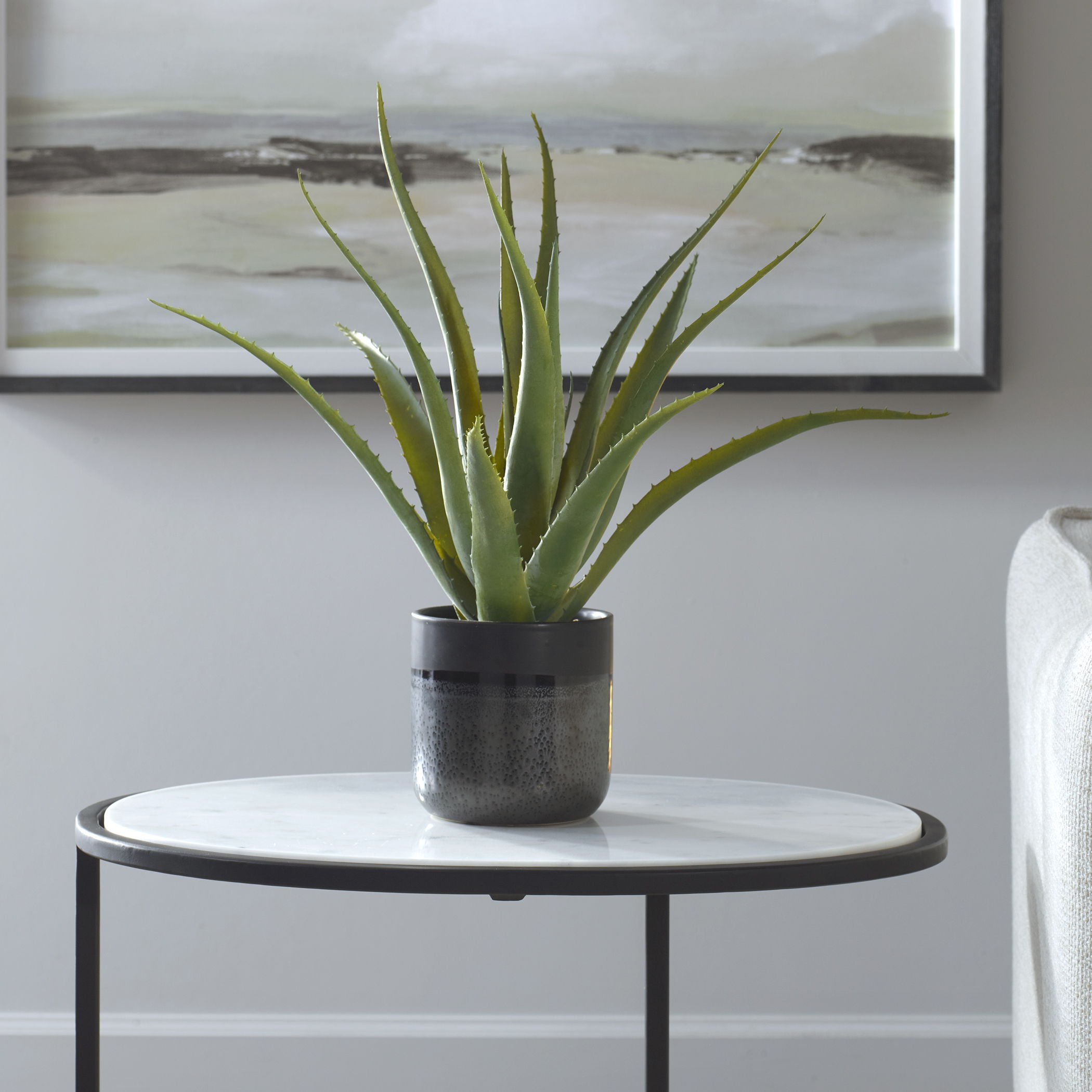 Tucson - Aloe Planter - Black - Image 3