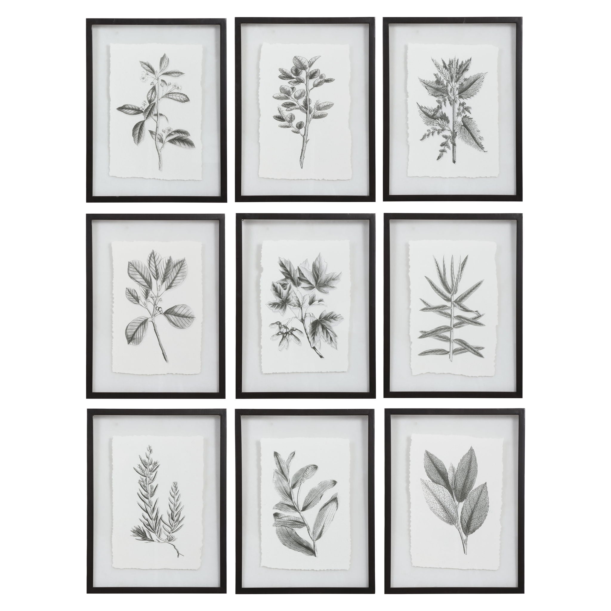 Farmhouse Florals - Framed Prints (Set of 9) - Black - Image 1